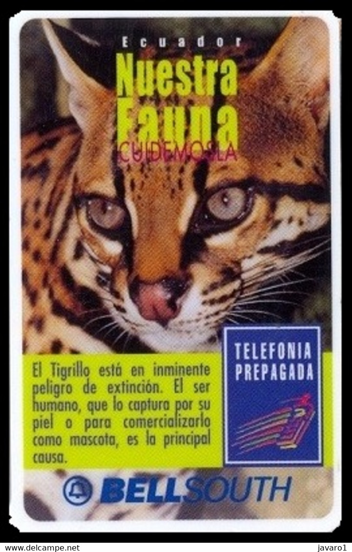 ECUADOR : BSP104A 100 TIGRILLO (white Frame) 2 Lines Bottom 11/2000 USED - Equateur