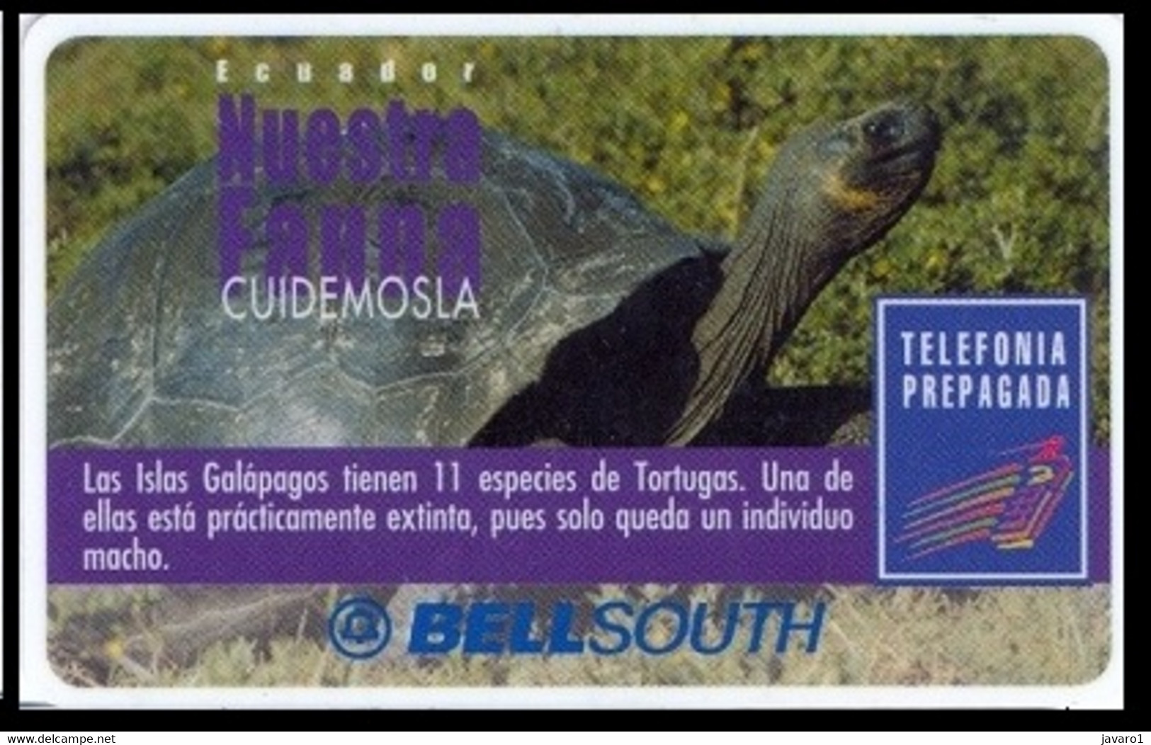 ECUADOR : BSP105A 100 GALAPAGOS Turtle   (white Frame) USED - Equateur