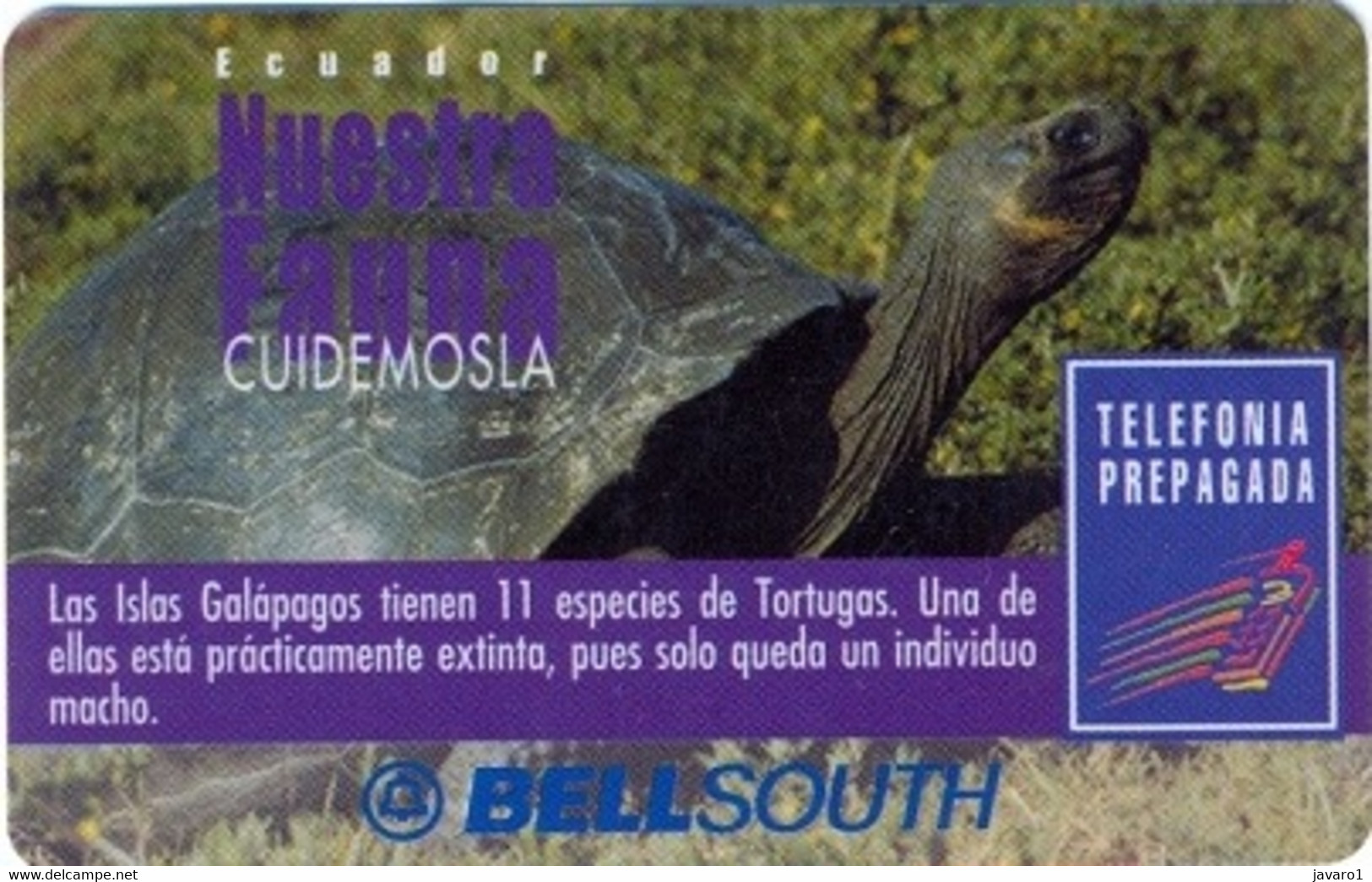 ECUADOR : BSP105B 100 GALAPAGOS Turtle   (nov/2000 3 Lines) USED - Ecuador