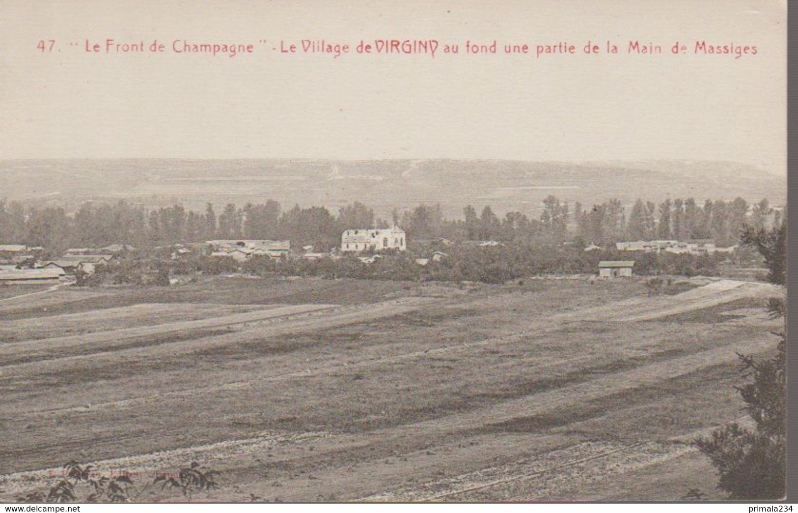 VIRGINY - - Mareuil-sur-Ay