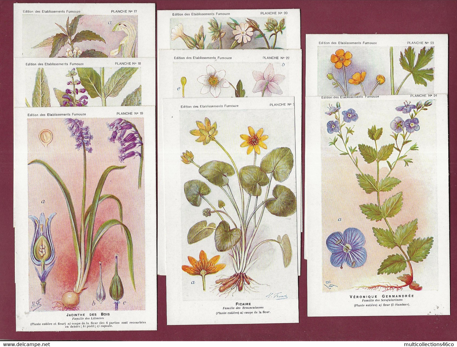 121220 -  4 Séries 32 Cpa Emballages D'origine - Planches Botanique Ets FUMOUZE Pharmacie PARIS Xe Plante Médecine - Medicinal Plants