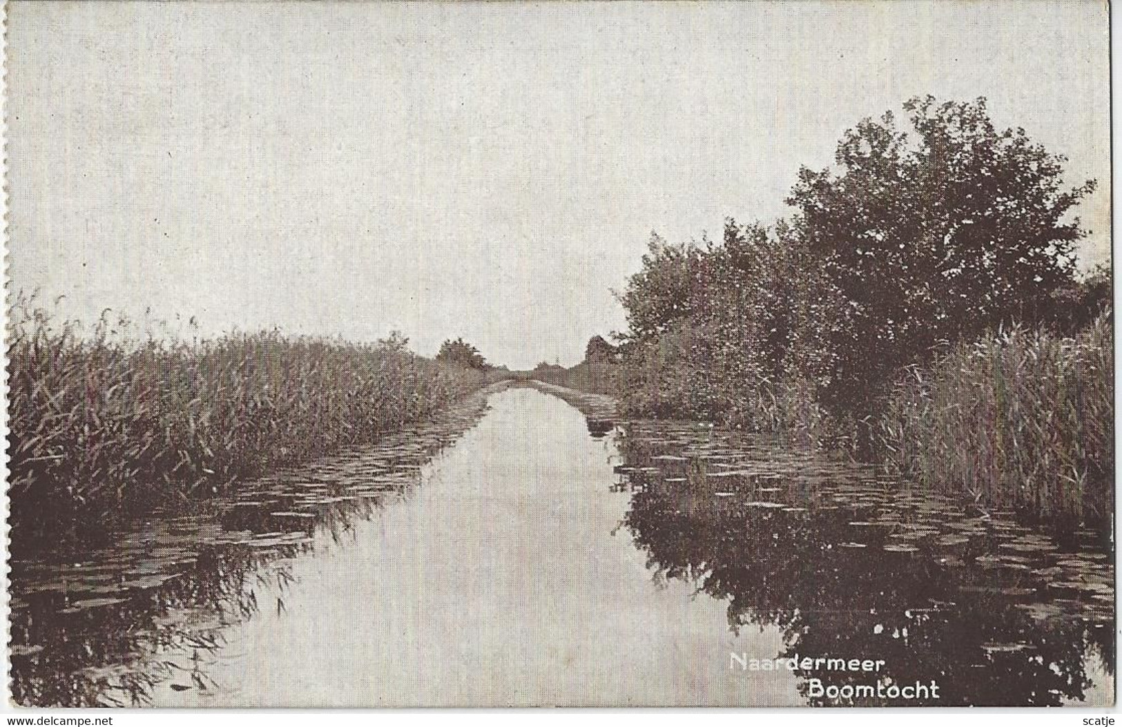 Naardermeer   -   Boomtocht - Naarden