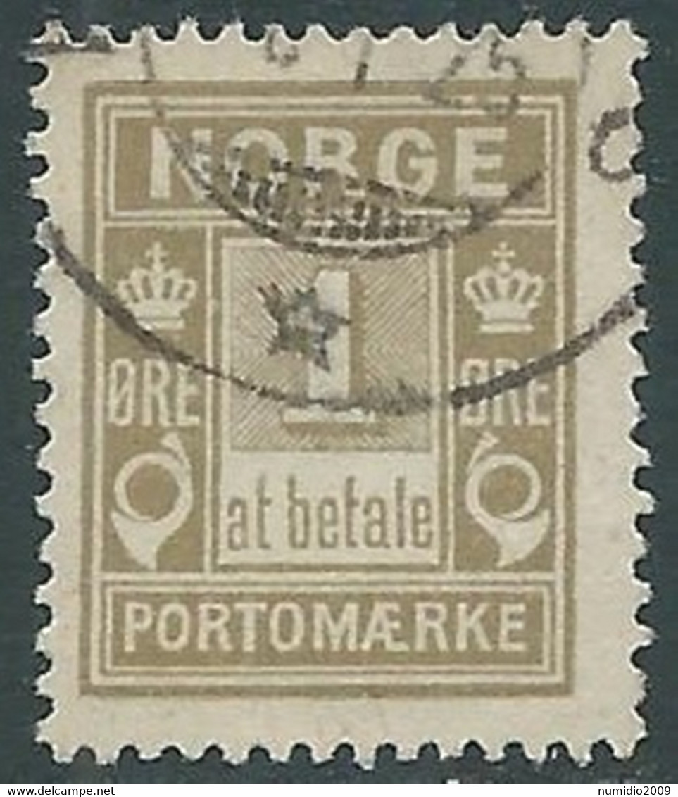 1889-93 NORVEGIA SEGNATASSE USATO 1 ORE TIPOGRAFIA C - RD36-9 - Oblitérés