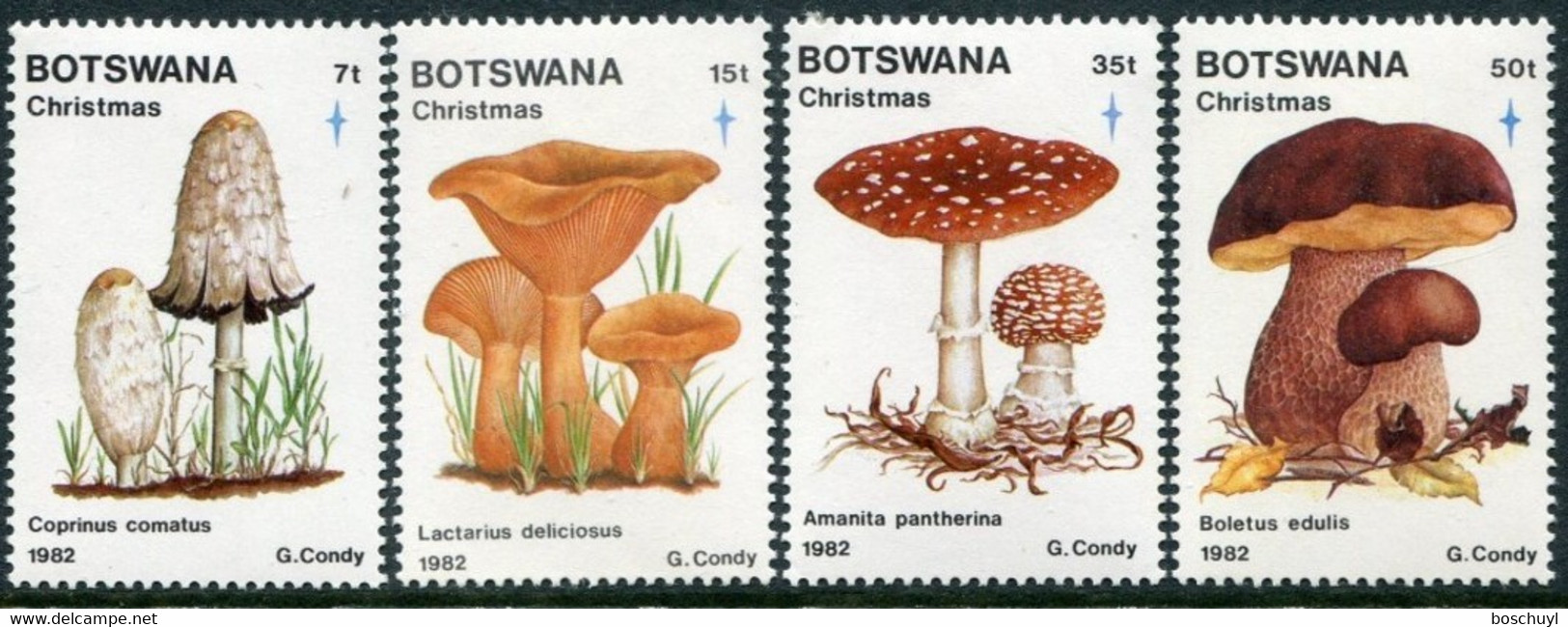 Botswana, 1982, Mushrooms, Flora, Christmas, MNH, Michel 317-320 - Botswana (1966-...)