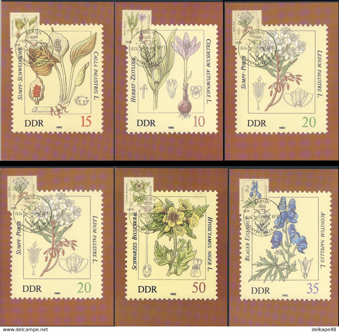 DDR Germany 1982 6x Maxi Karte - Herbst-Zeitlose, Sumpf-Schweinsohr, Sumpf-Porst, Rotb. Zaunrübe, Eisenhut, Bilsenkraut - Giftige Pflanzen