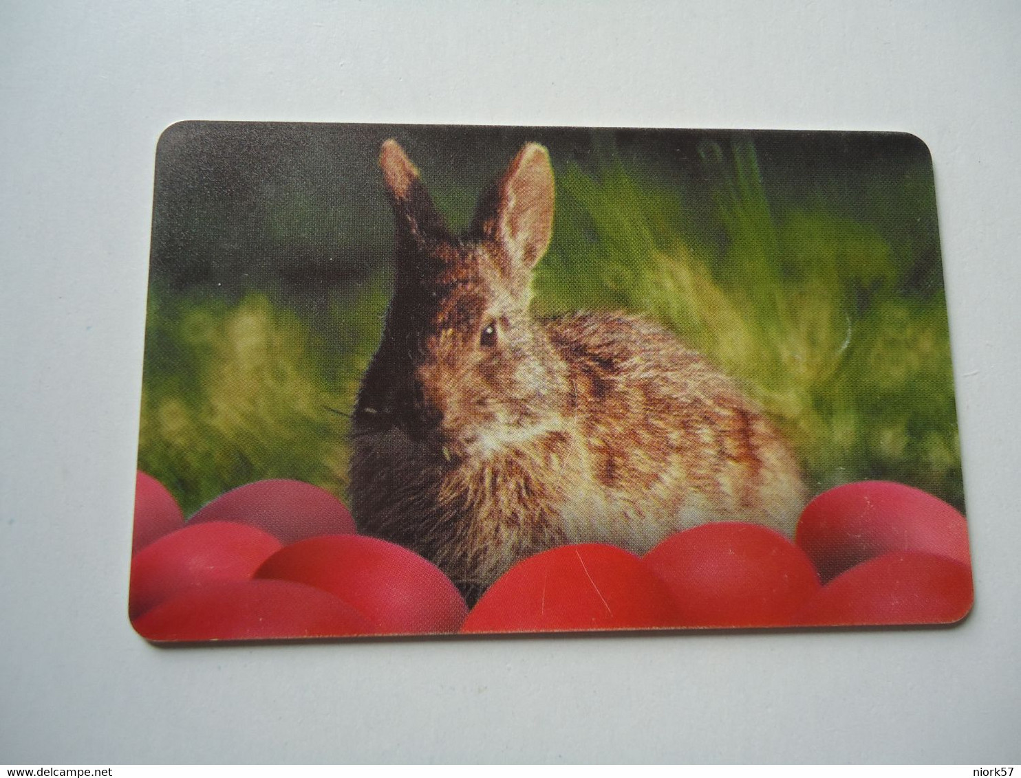 ROMANIA   USED CARDS   ANIMALS RABBIT - Konijnen