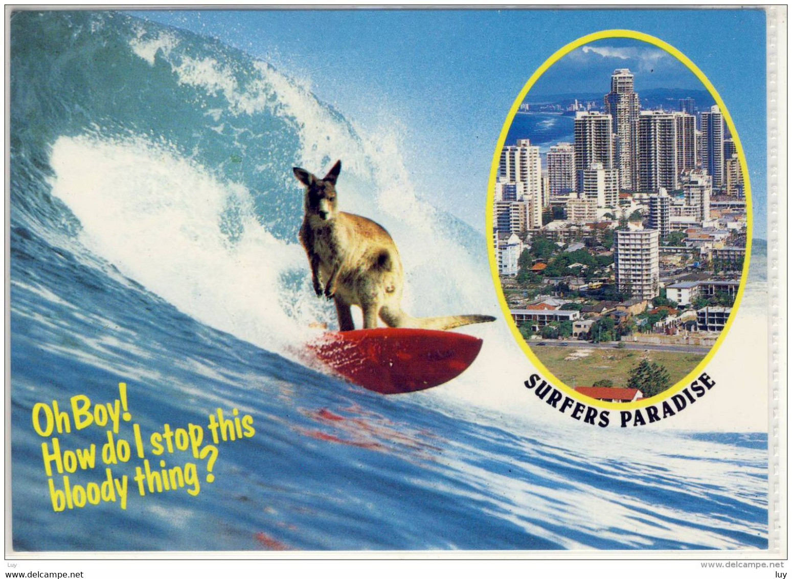 RED KANGAROO (Macropus Rufus) -  Enjoys Surfers Paradise On The Cold Coast , Nice Stamp - Gold Coast