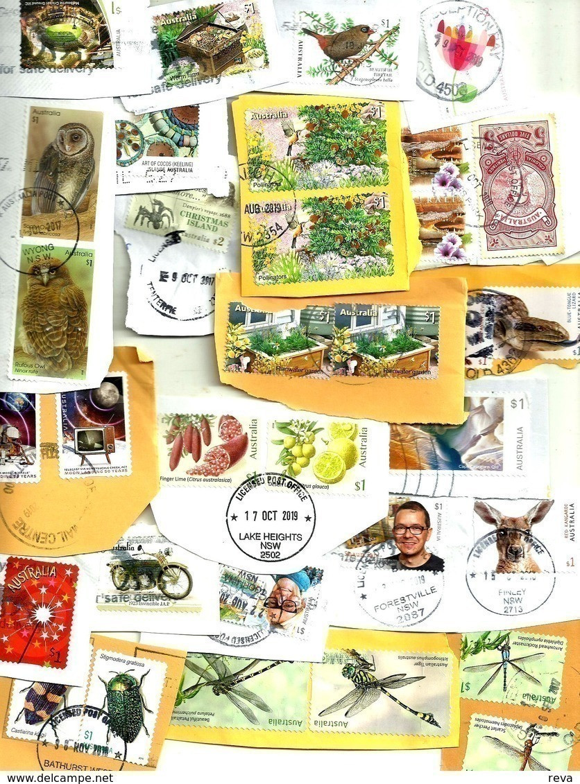 AUSTRALIA LOT4 MIXTURE OF50+USED STAMPS SOME 2015/20 INC BIRDS',,ETC READ DESCRIPTION!! - Hojas Bloque