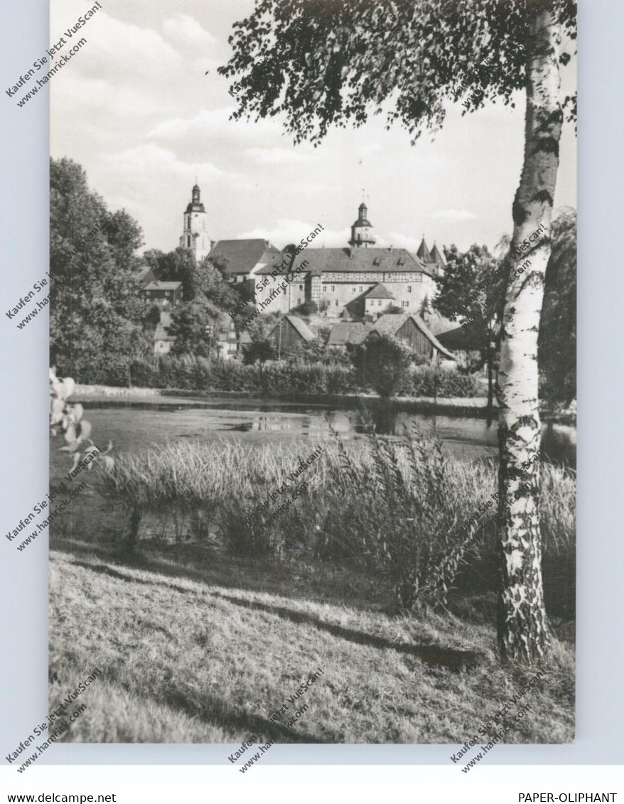 0-6056 SCHLEUSINGEN, Kirche Und Schloß, 1965 - Schleusingen