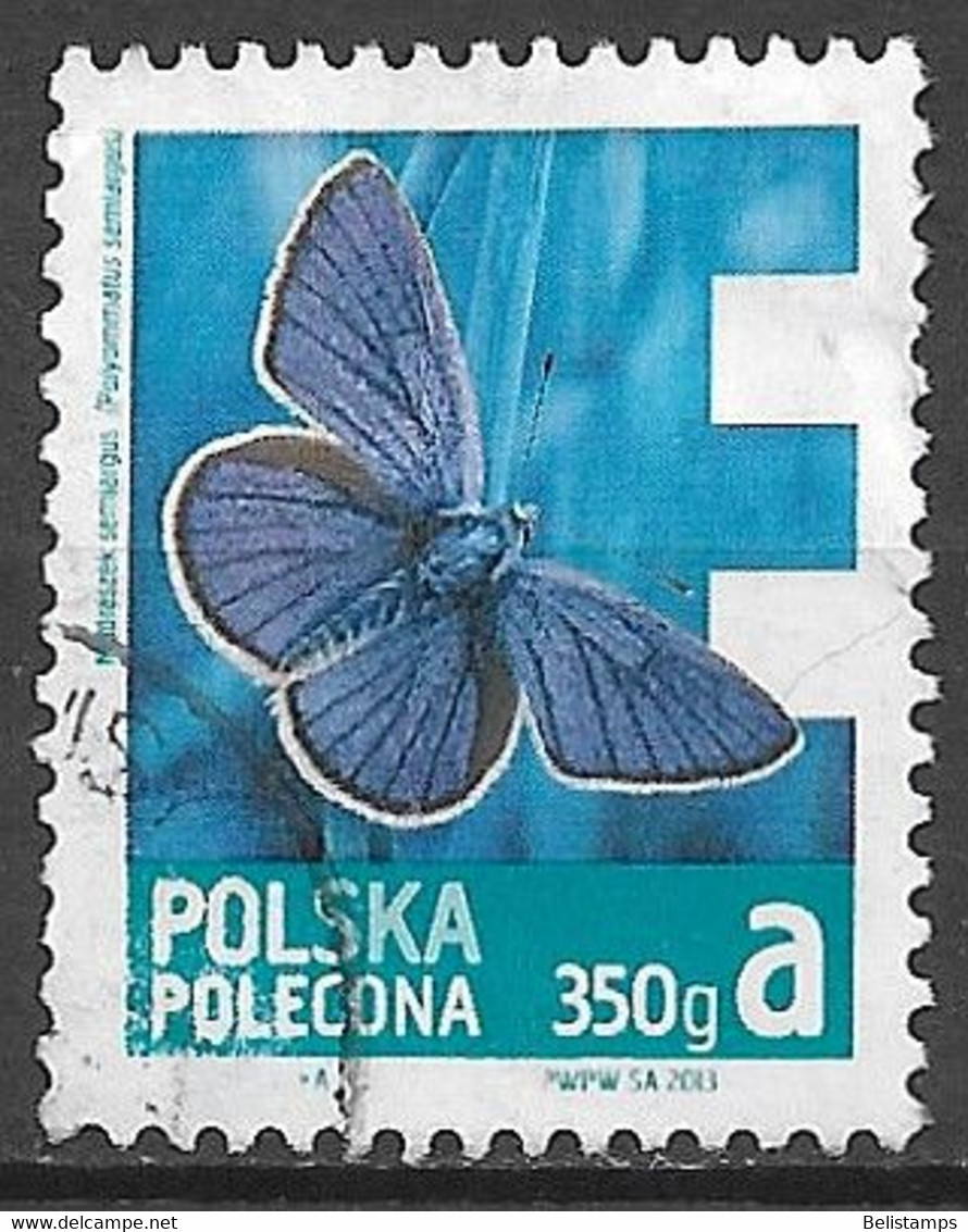 Poland 2013. Scott #F1 (U) Insect, Polyommatus Semiargus - Other & Unclassified