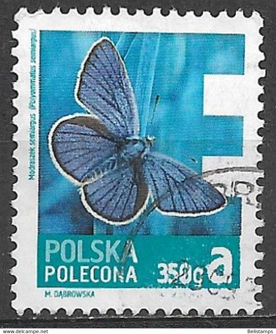 Poland 2013. Scott #F1 (U) Insect, Polyommatus Semiargus - Other & Unclassified