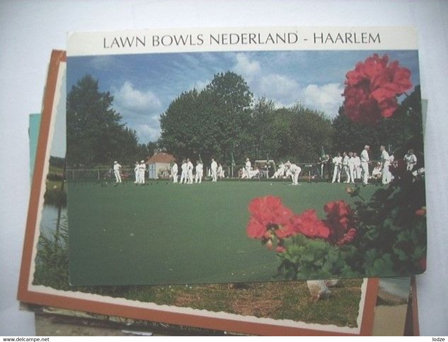 Haarlem Cricket Lawn Bowls - Cricket