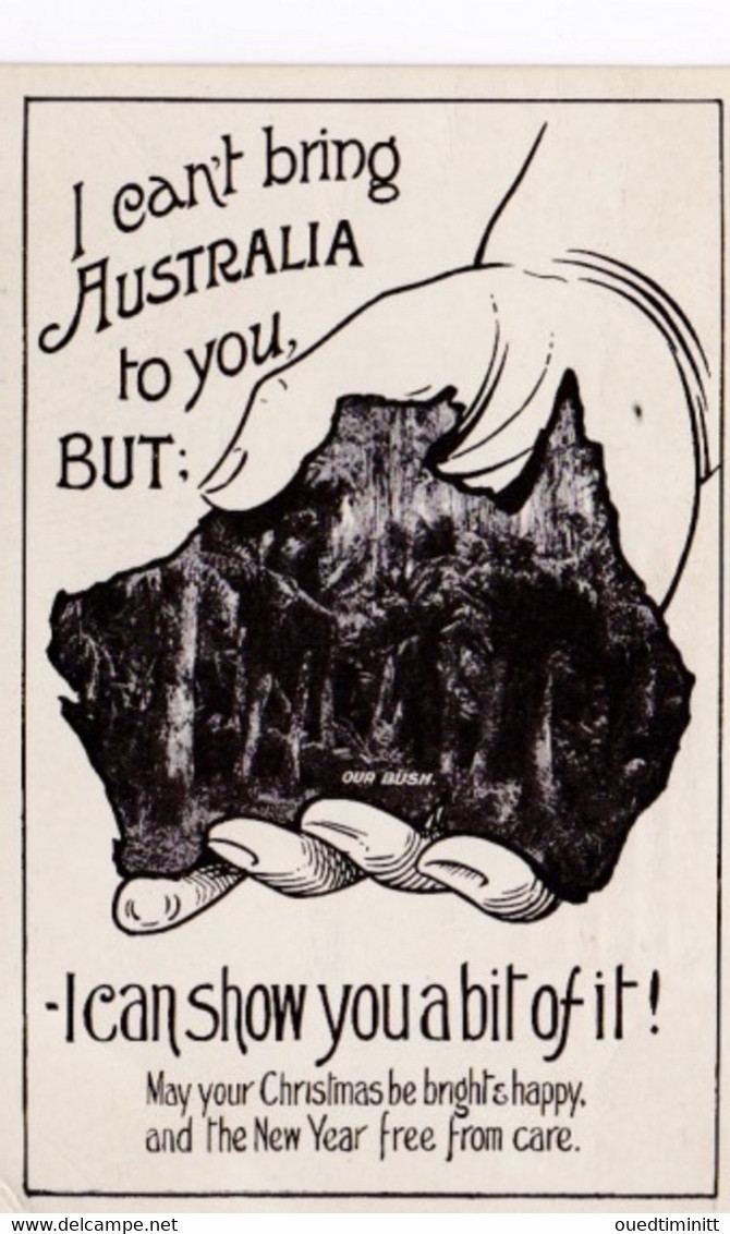 Australie Image Du Bush 1913 - Altri & Non Classificati