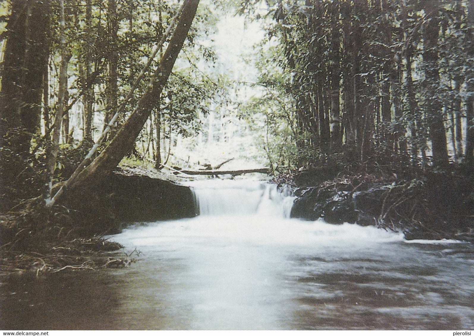 (A-ST019) - MANAUS - Una Cascata - Manaus