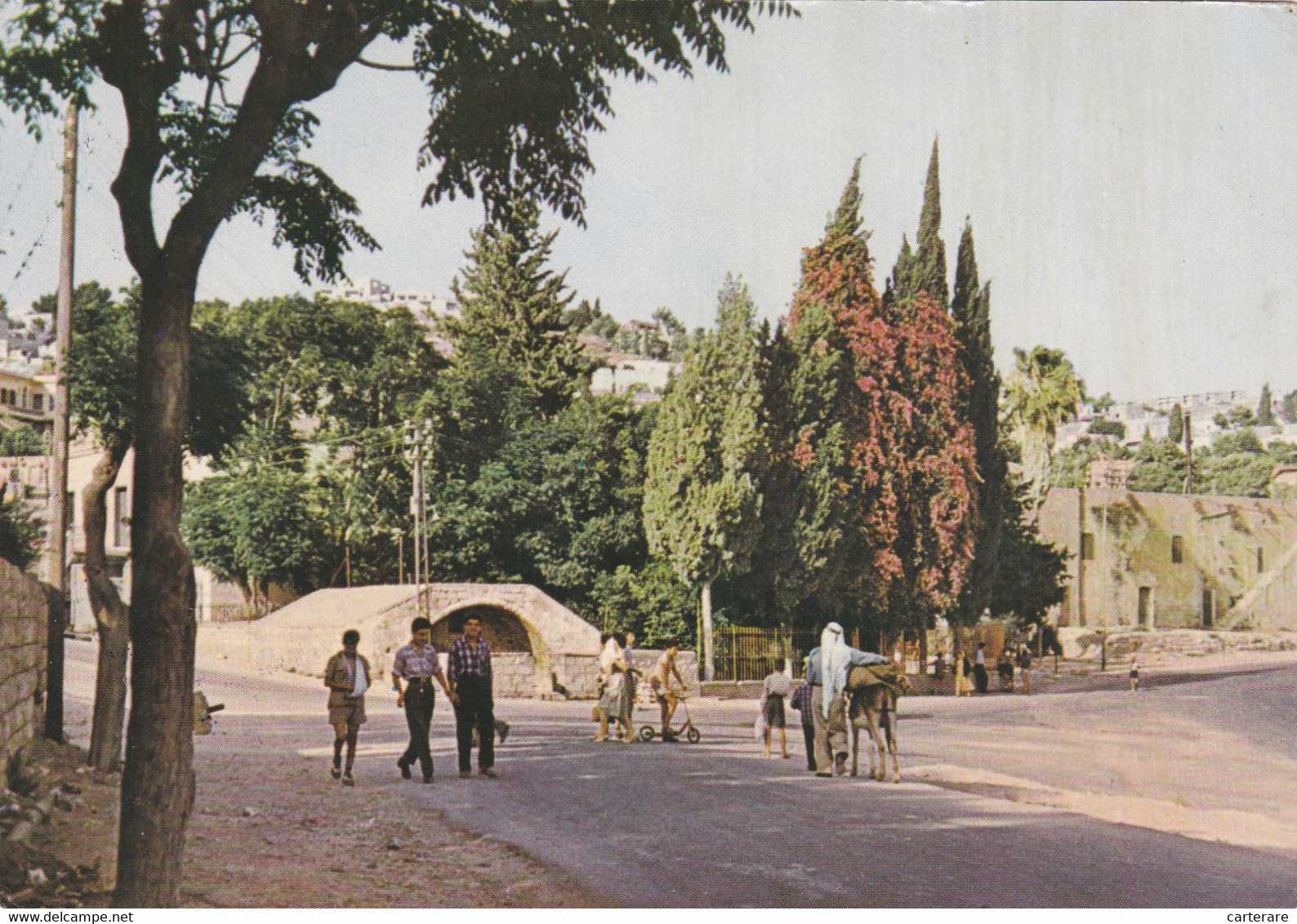 ISRAEL,NAZARETH,GALILEE - Israel