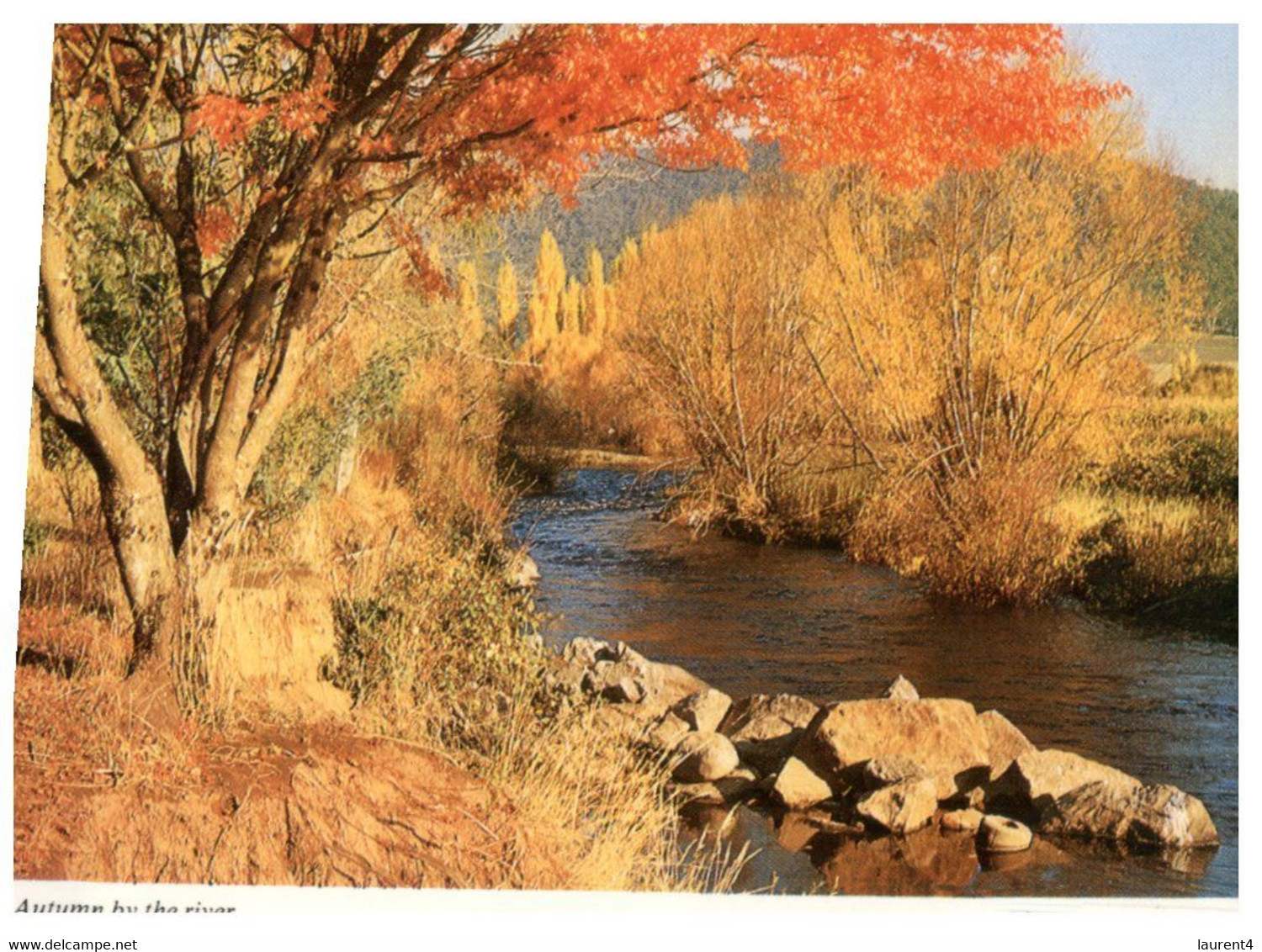 (AA 5) Australia - Autumn By The River - Outback