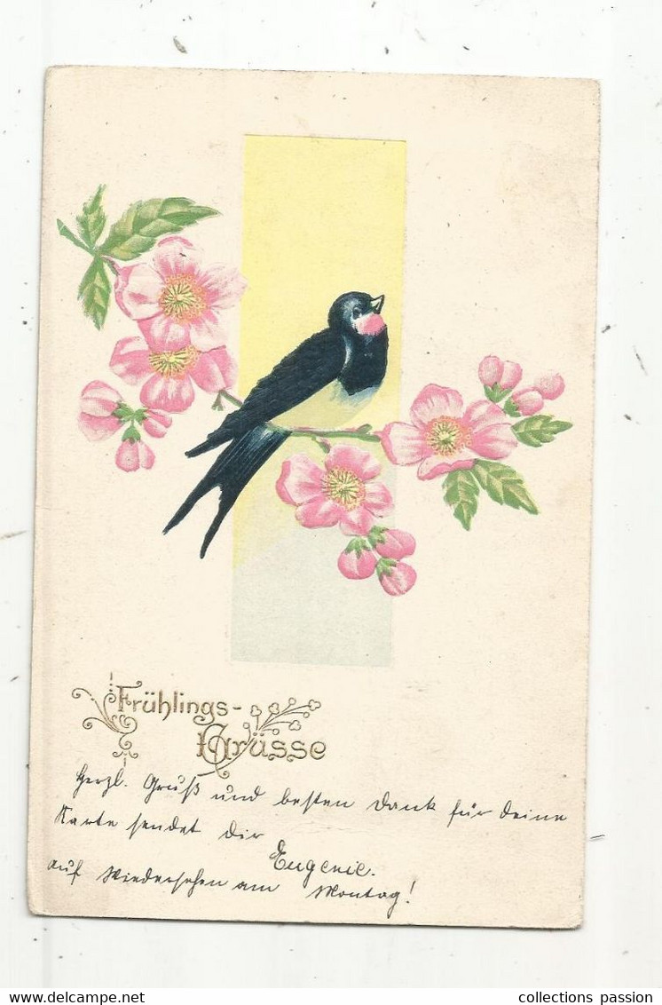 Cp , Fleurs , Hirondelle , Dos Simple , Gaufrée , Voyagée 1907 ,FRÜHLINGS GRÜSSE ,union Postale Universelle - Fleurs