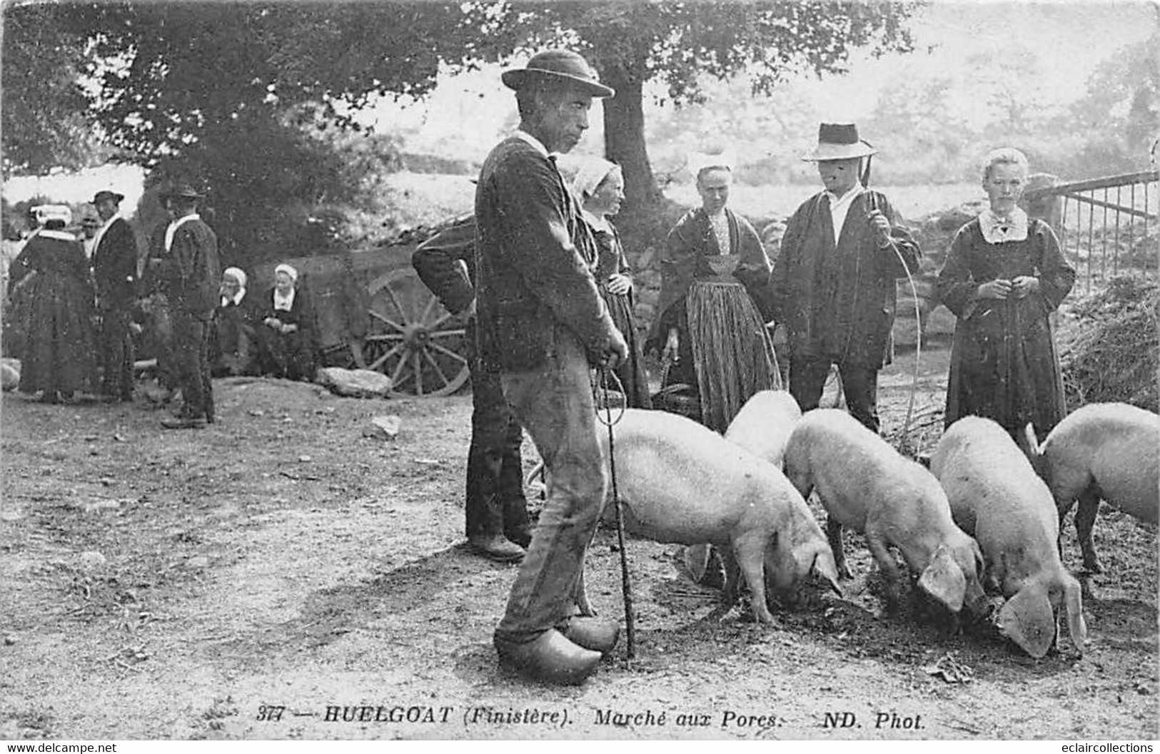 Huelgoat         29         Marché Aux Porcs         (voir Scan) - Huelgoat