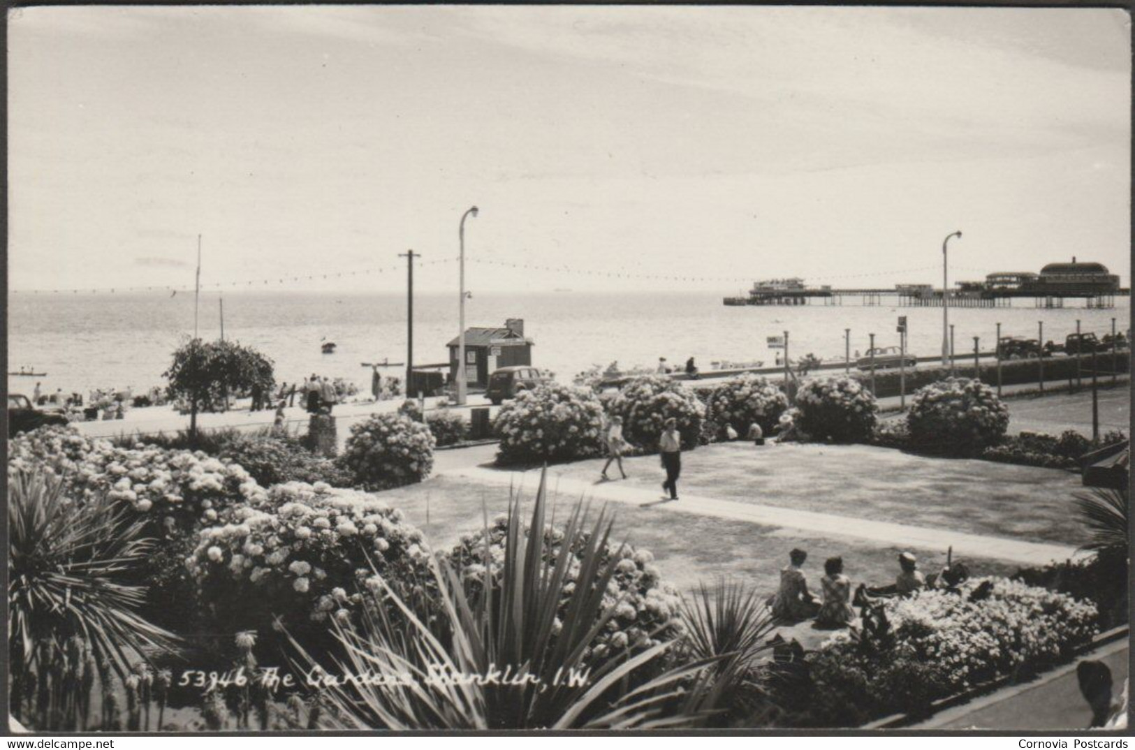 The Gardens, Shanklin, Isle Of Wight, 1955 - Sweetman RP Postcard - Shanklin