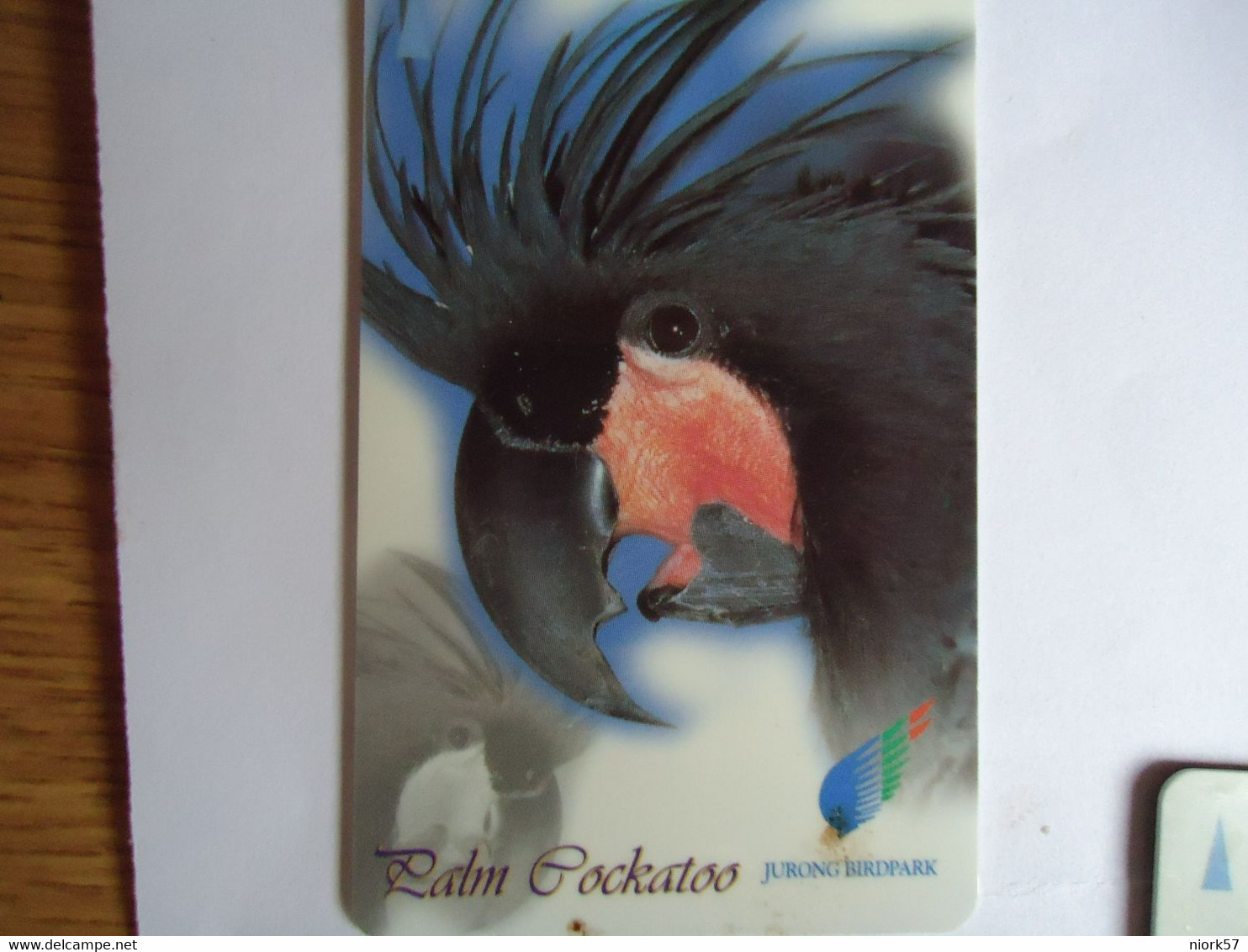 SINGAPORE  USED  CARDS  BIRD BIRDS PAROTTS - Pappagalli