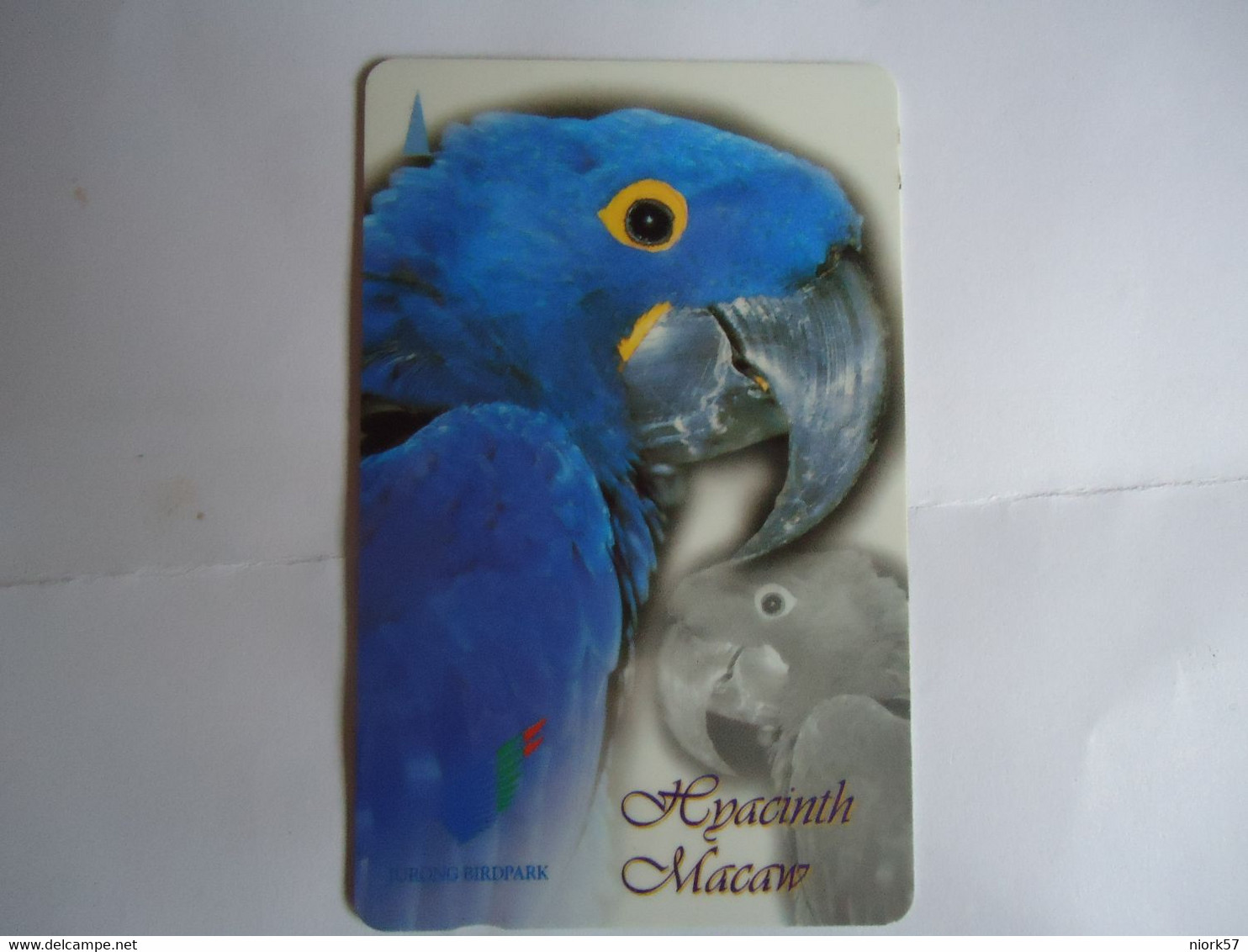 SINGAPORE  USED  CARDS  BIRD BIRDS PAROTTS - Perroquets