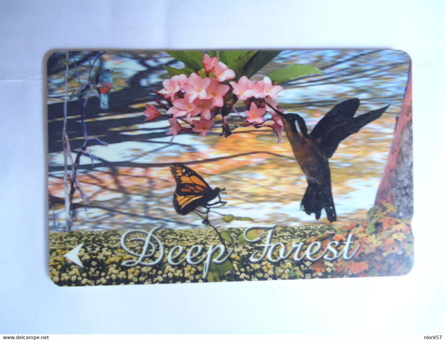 SINGAPORE  USED  CARDS  BIRDS BUTTERFLIES - Farfalle