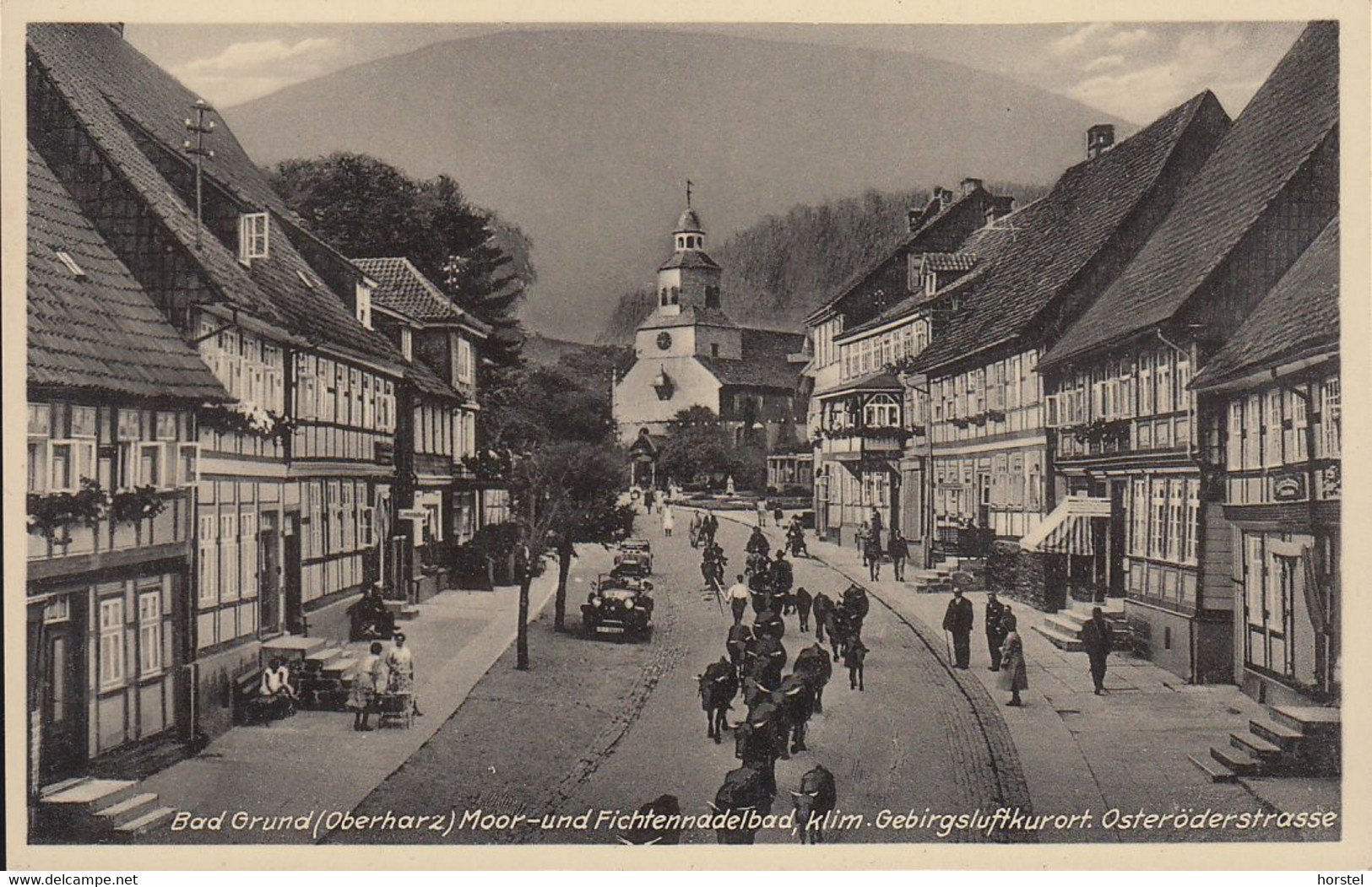 D-37539 Bad Grund - Harz - Osteröderstraße - Kühe - Car - Oldtimer - Bad Grund