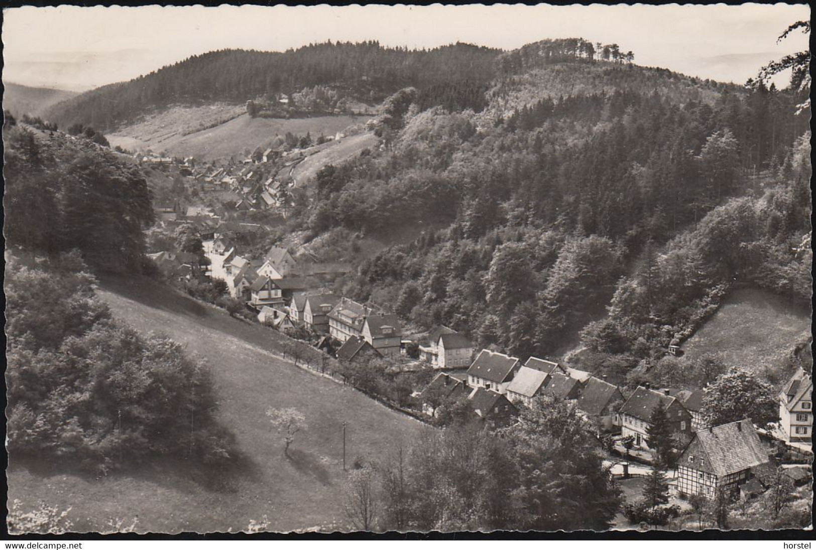 D-37539 Bad Grund - Blick Vom Iberger Kaffeehaus ( 60er Jahre) - Bad Grund