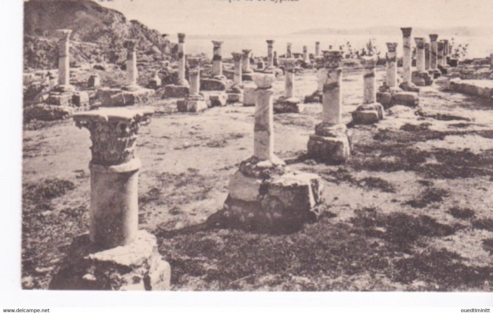 Carthage Basilique St Cyprien - Tunesien