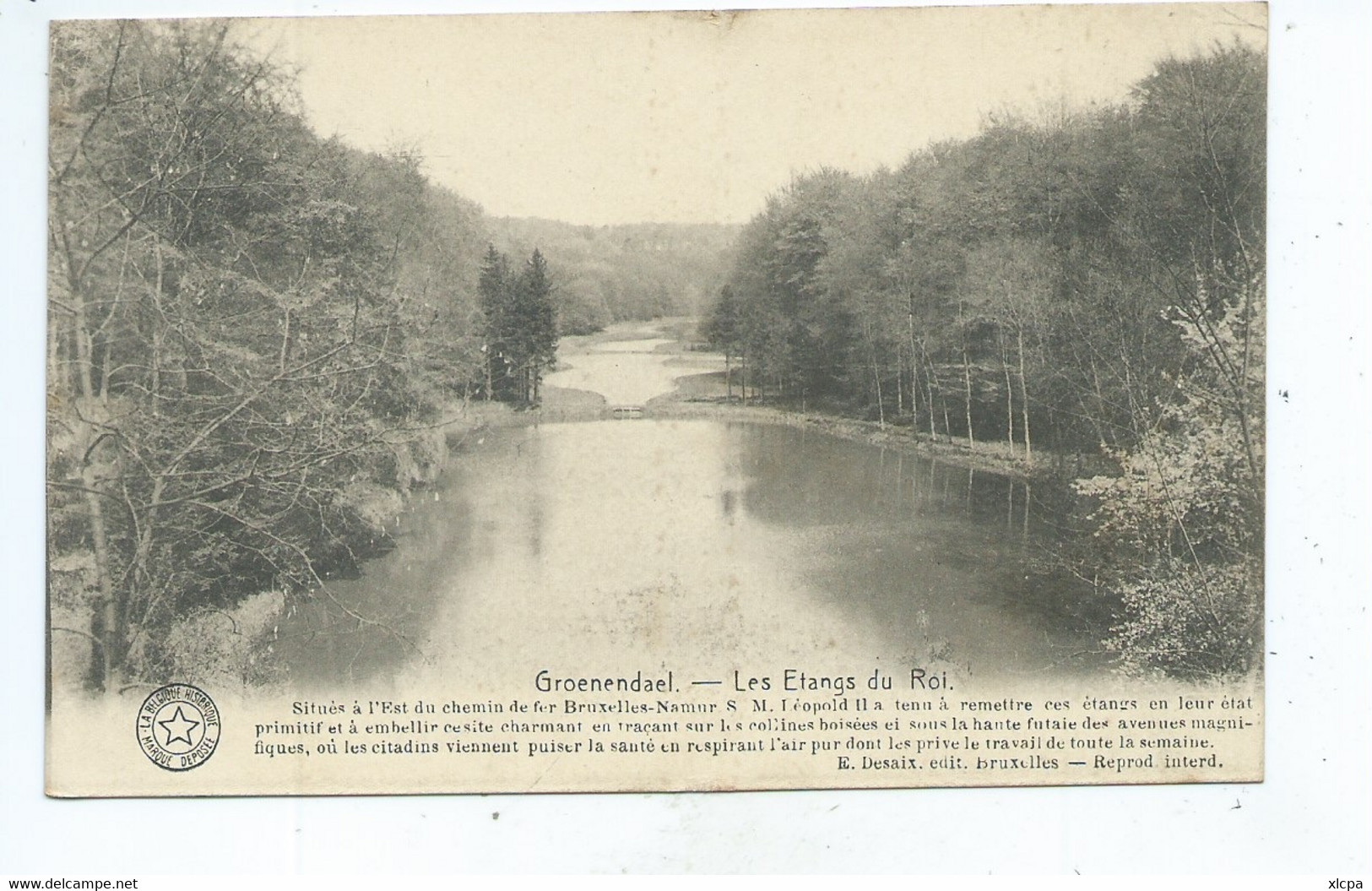 Groenendael Les Etangs Du Roi - Hoeilaart