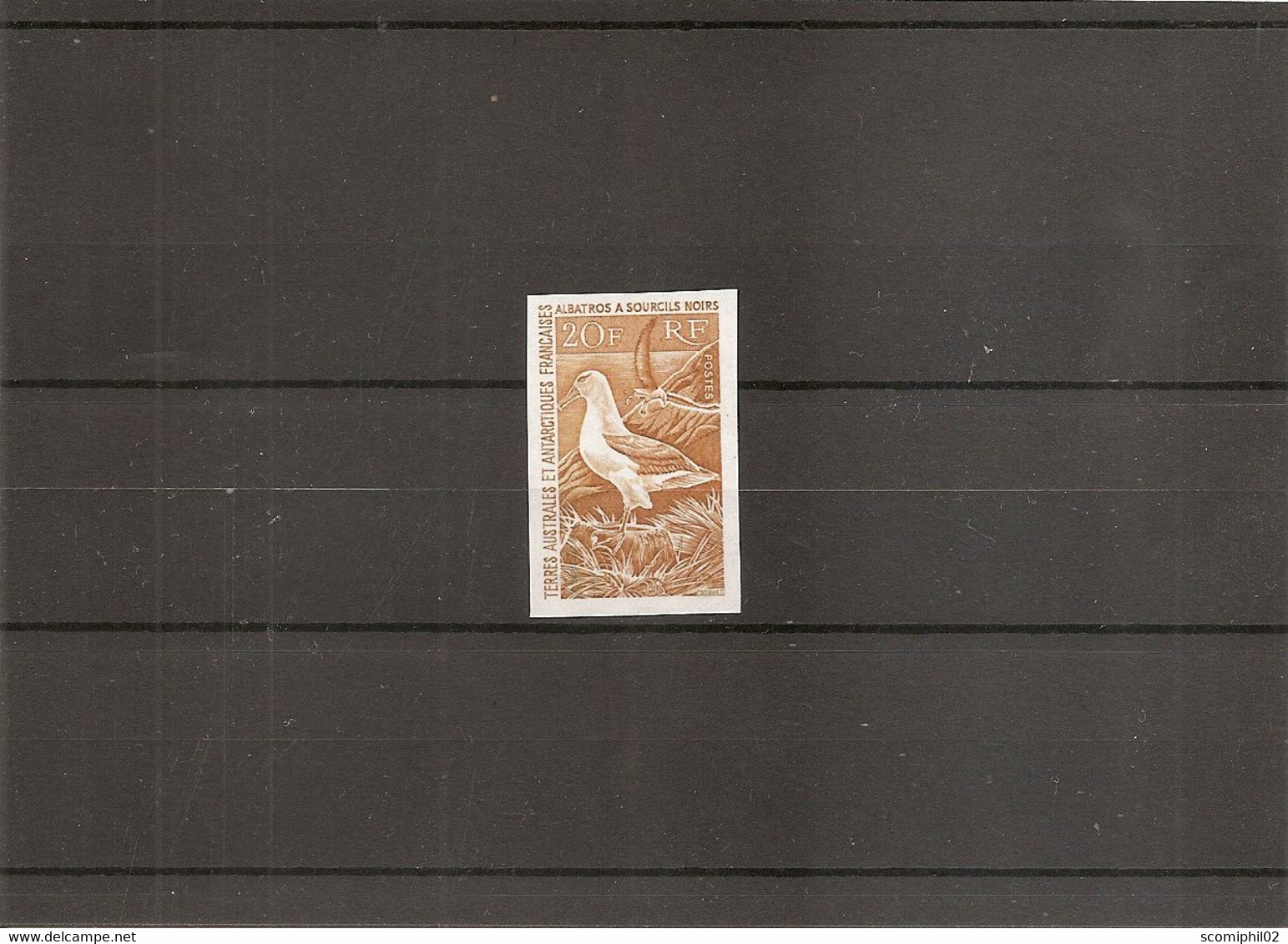 TAAF - Oiseaux - Albatros ( 24 En Essai De Couleur Non Dentelé Ocre XXX -MNH- ) - Imperforates, Proofs & Errors