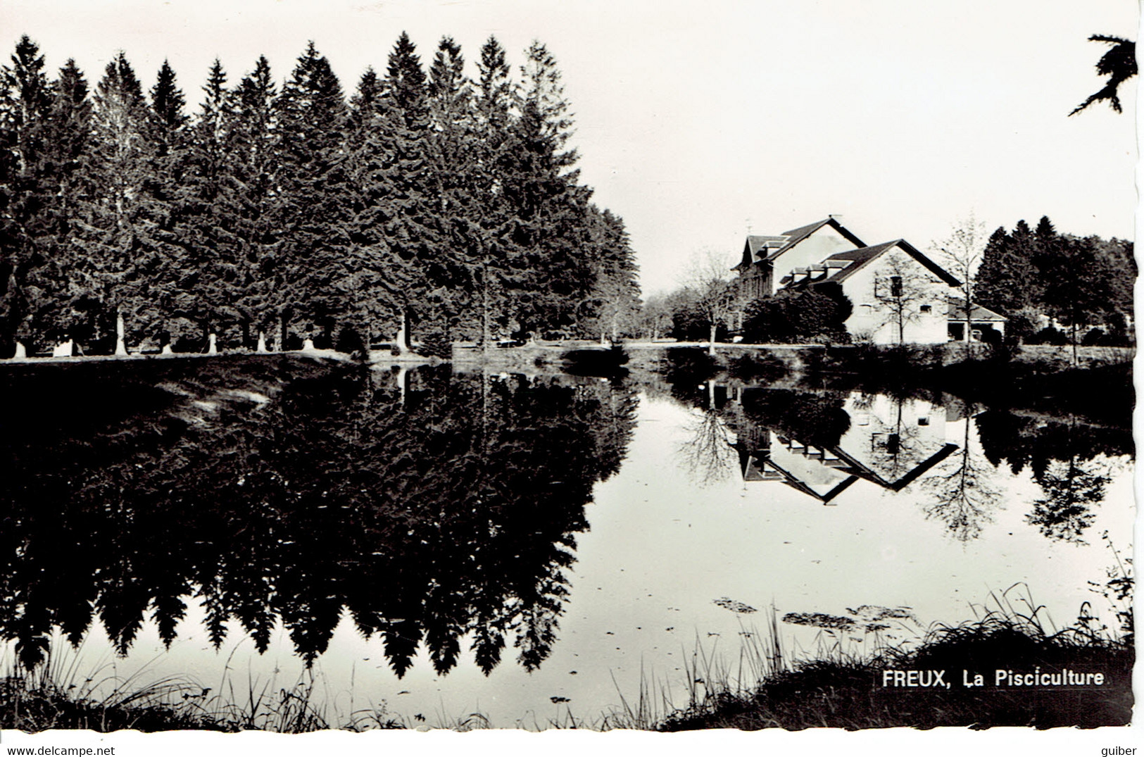 Libramont Freux Pisciculture Cartes Vues A. Smetz - Libramont-Chevigny