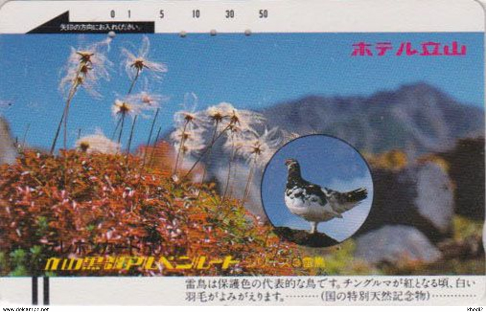 TC Ancienne JAPON / 110-13357 B - ANIMAL - OISEAU - LAGOPEDE - GROUSE BIRD JAPAN Phonecard - 5266 - Hühnervögel & Fasanen