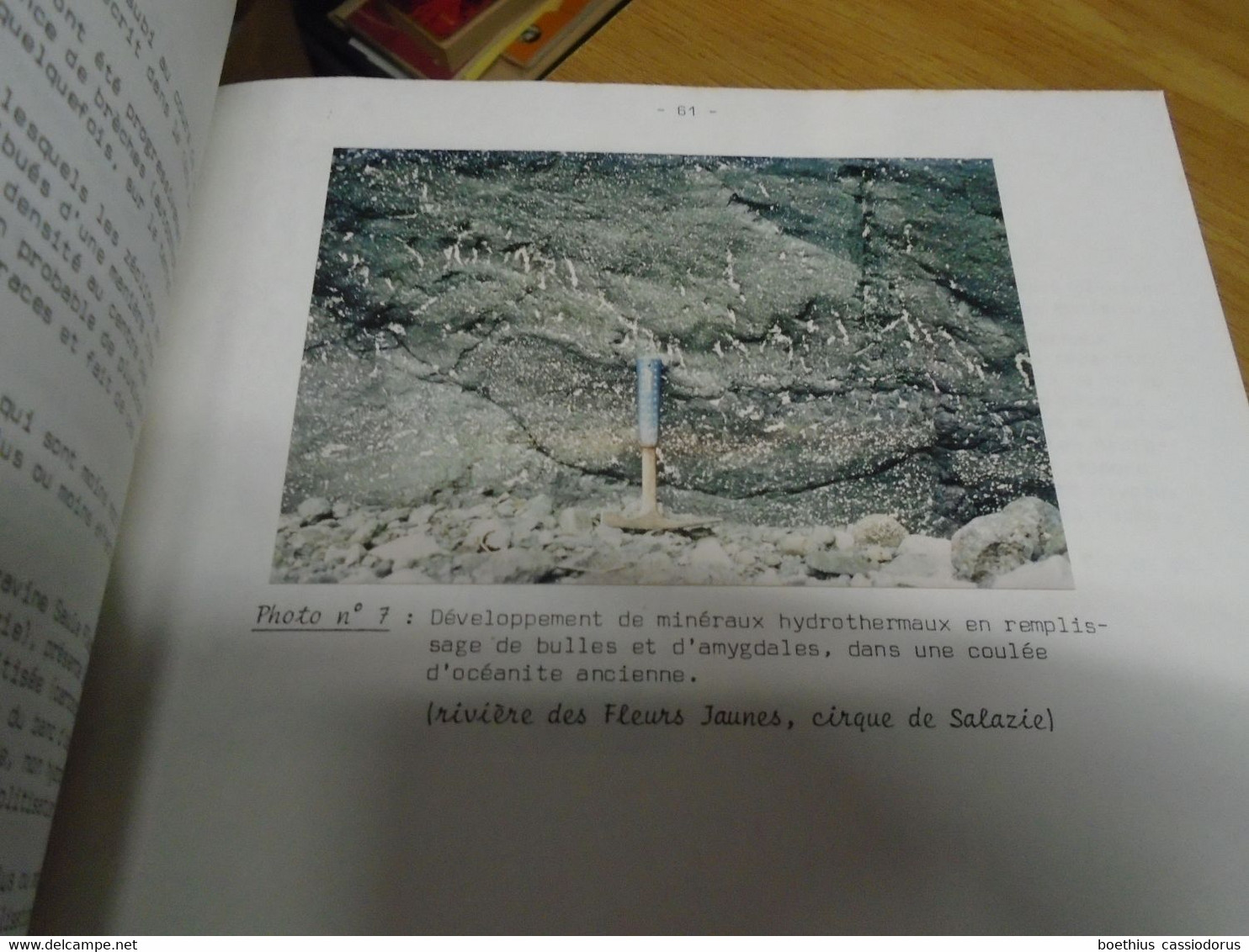 CONTRIBUTION A L'ETUDE DES MINERALISATIONS  HYDROTHERMALES LIEES A UN SYSTEME GEOTHERMIQUE RECENT ILE DE LA REUNION - Outre-Mer