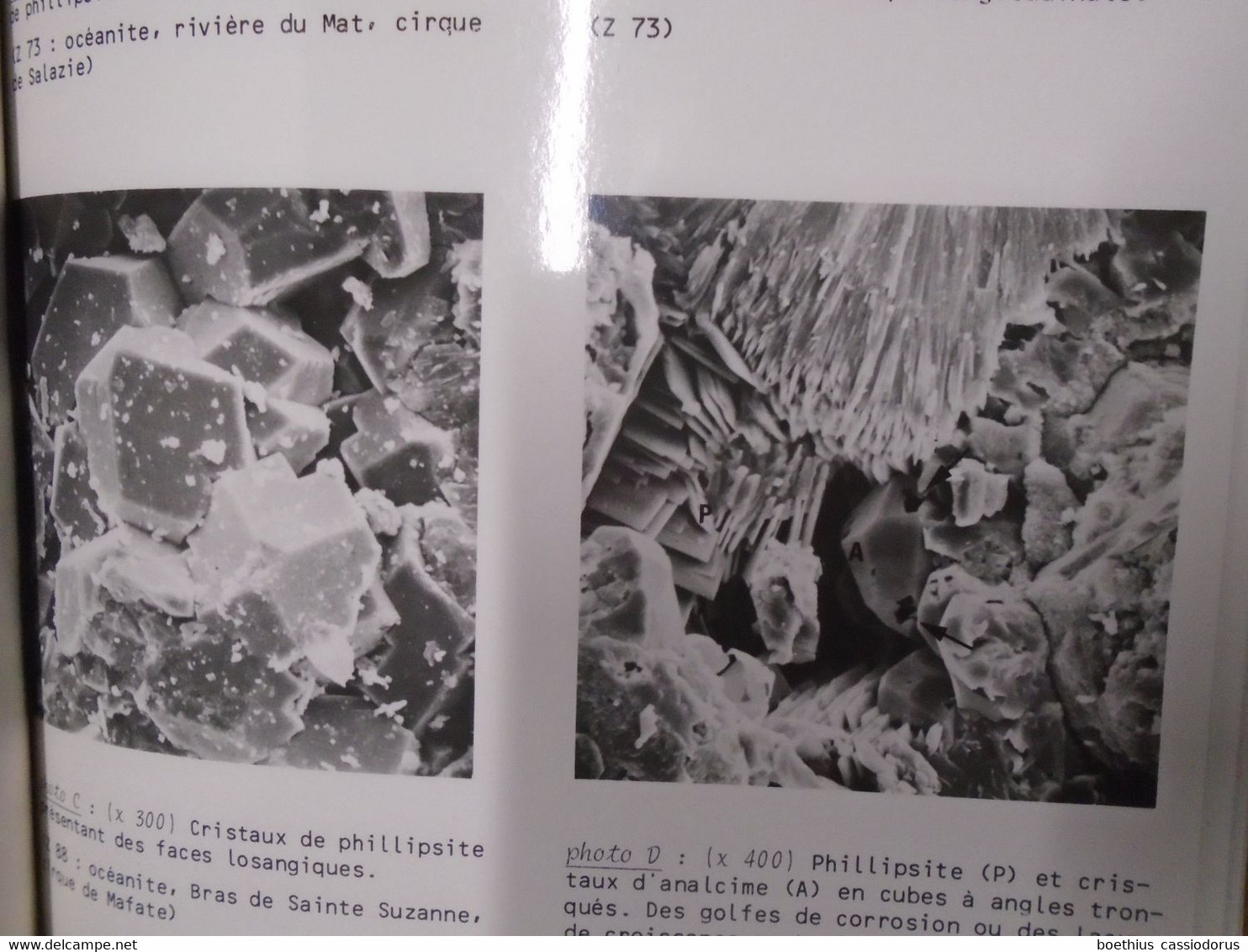 CONTRIBUTION A L'ETUDE DES MINERALISATIONS  HYDROTHERMALES LIEES A UN SYSTEME GEOTHERMIQUE RECENT ILE DE LA REUNION