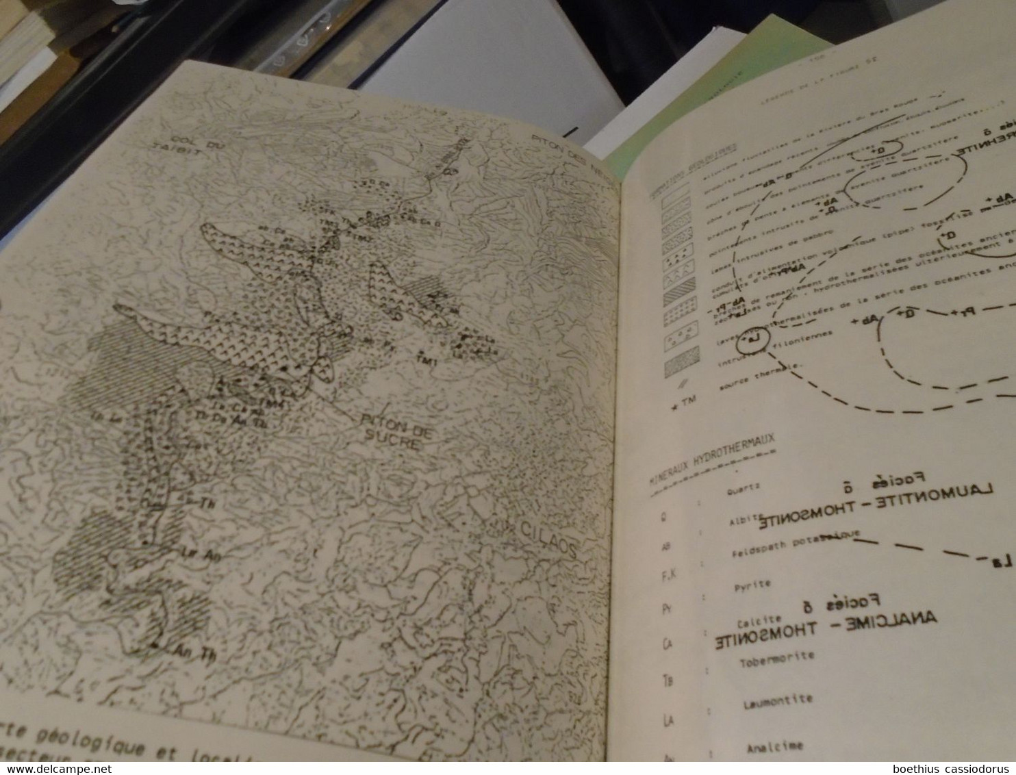 CONTRIBUTION A L'ETUDE DES MINERALISATIONS  HYDROTHERMALES LIEES A UN SYSTEME GEOTHERMIQUE RECENT ILE DE LA REUNION