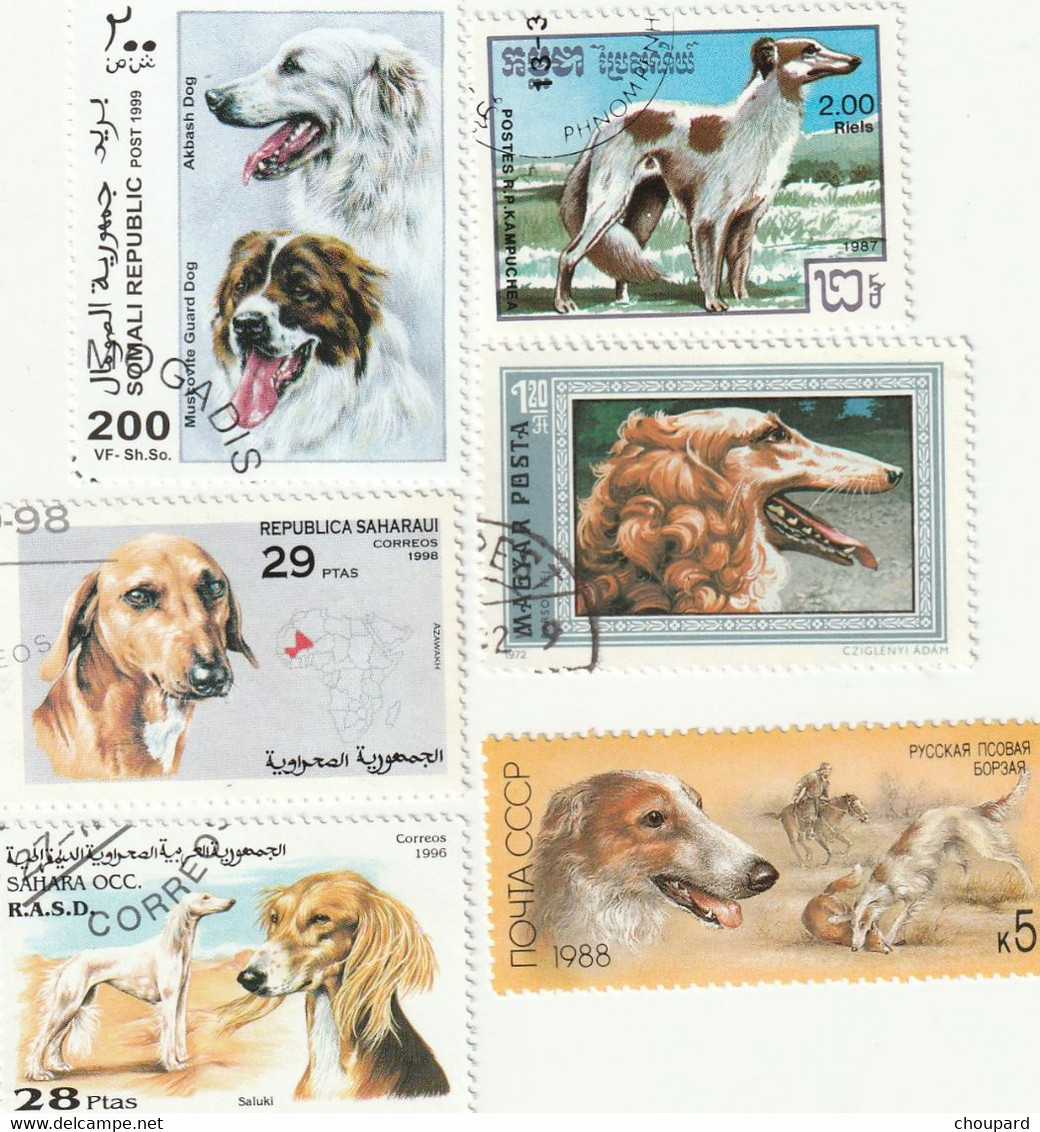 6 TRES BEAUX TIMBRES ILLUSTRES AVEC DES  CHIENS LEVRIERS BARZOI , AFGAN , WHIPPET ...... - Hunde