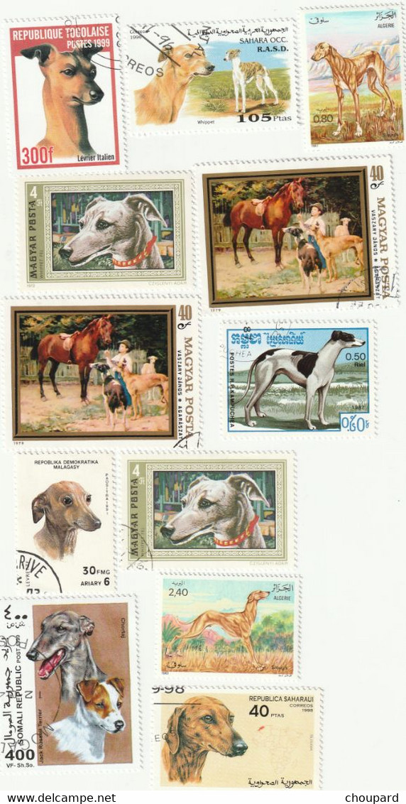 12  TRES BEAUX TIMBRES ILLUSTRES AVEC DES  CHIENS LEVRIERS  WHIPPET, GREYHOUND , PETIT LEVRIER ITALIEN...... - Chiens