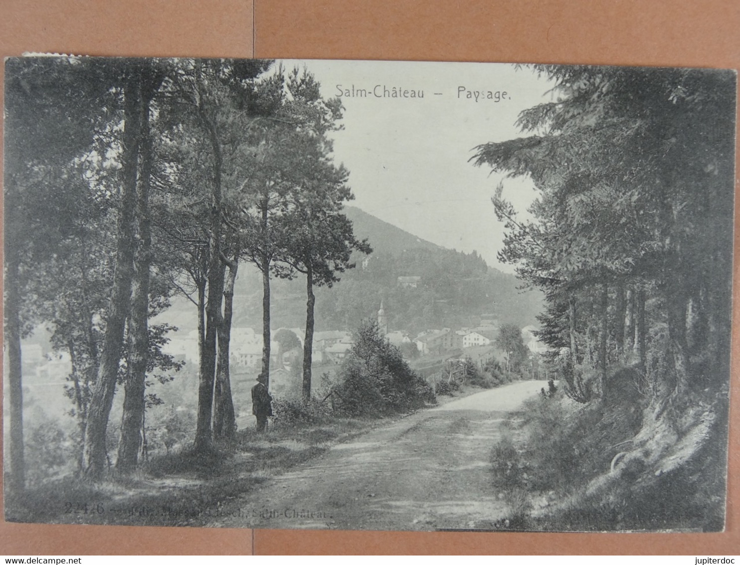 Salm-Château Paysage - Vielsalm