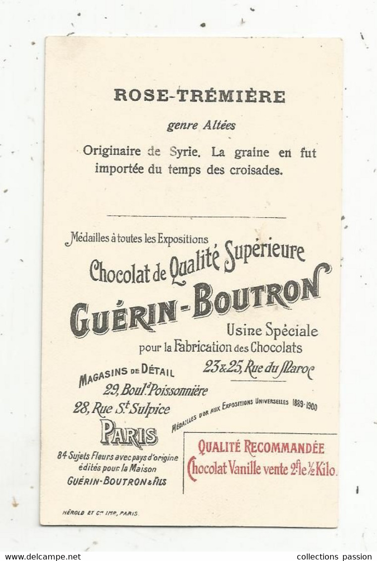 Chromo GUERIN-BOUTRON, ROSE-TREMIERE ,fleurs , Syrie, 2 Scans - Guerin Boutron