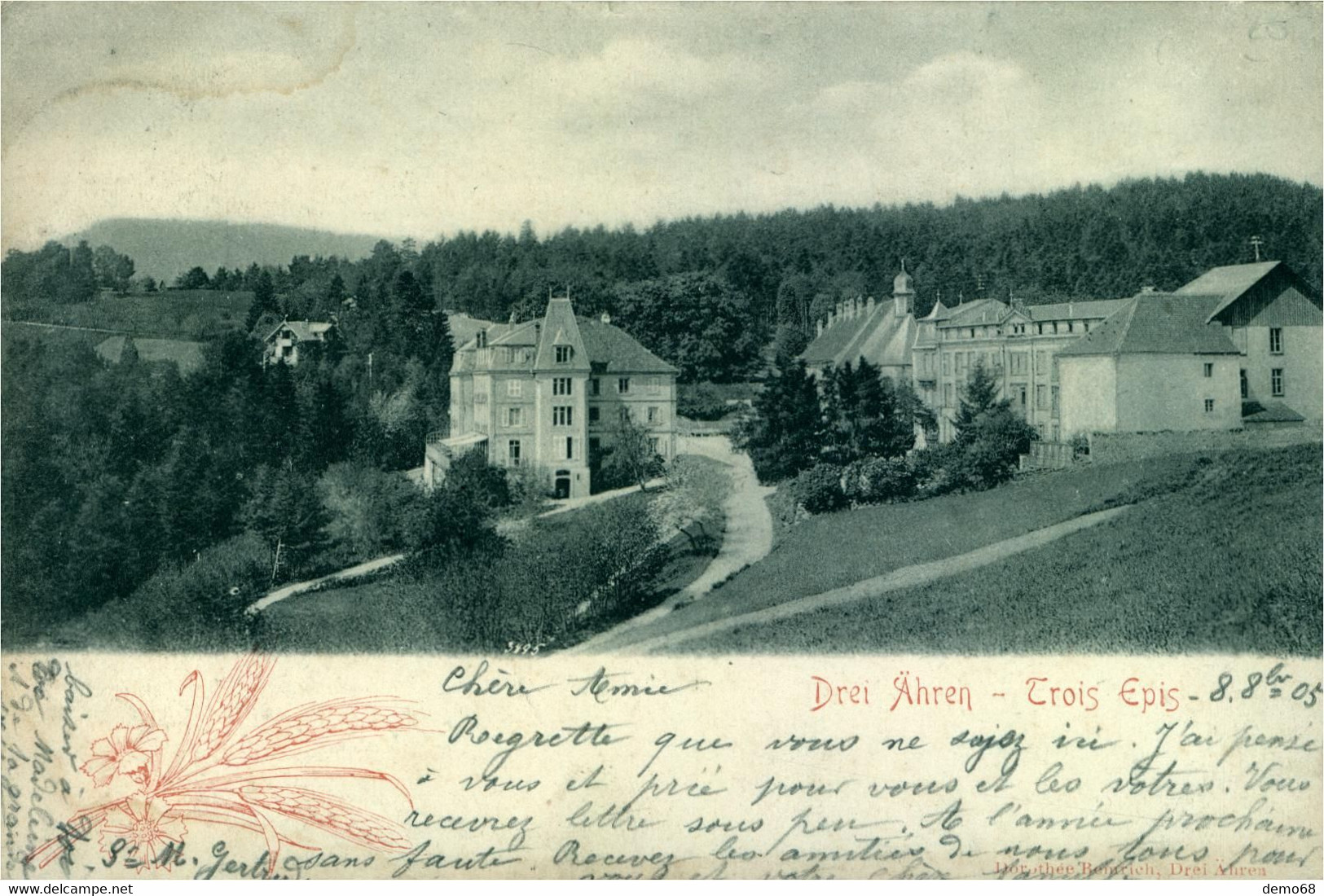 Trois Epis Niedermorschwihr Ammerschwihr Turckheim Vue Panoramique Précurseur 1905 CPA CP 68 Haut Rhin - Trois-Epis