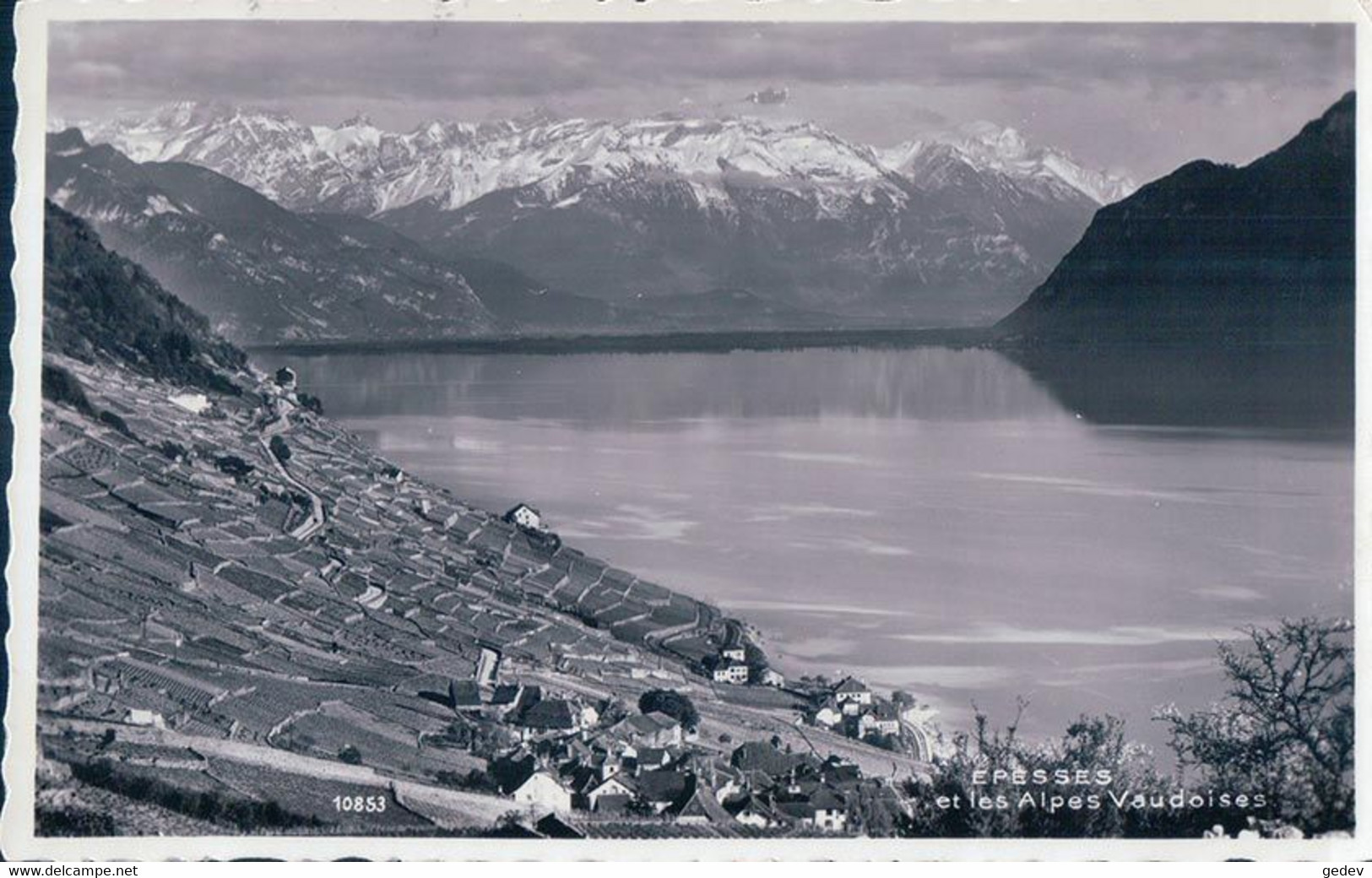 Lavaux, Epesses Et Le Léman VD (10853) - Épesses