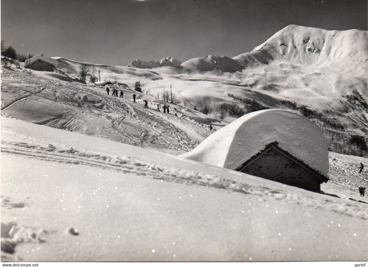 Valsesia - Alpe Di Mera - Cima D'Ometto E Piste Discesa - Fg Vg - Vercelli