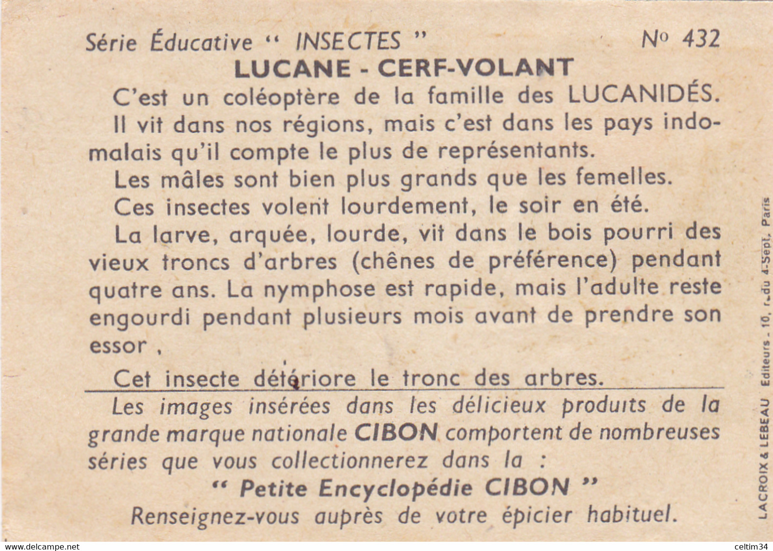 IMAGE  CIBON  --  Série éducative  --   Insectes  --  Lucane - Cerf - Volant   --  N° 432 - Other & Unclassified