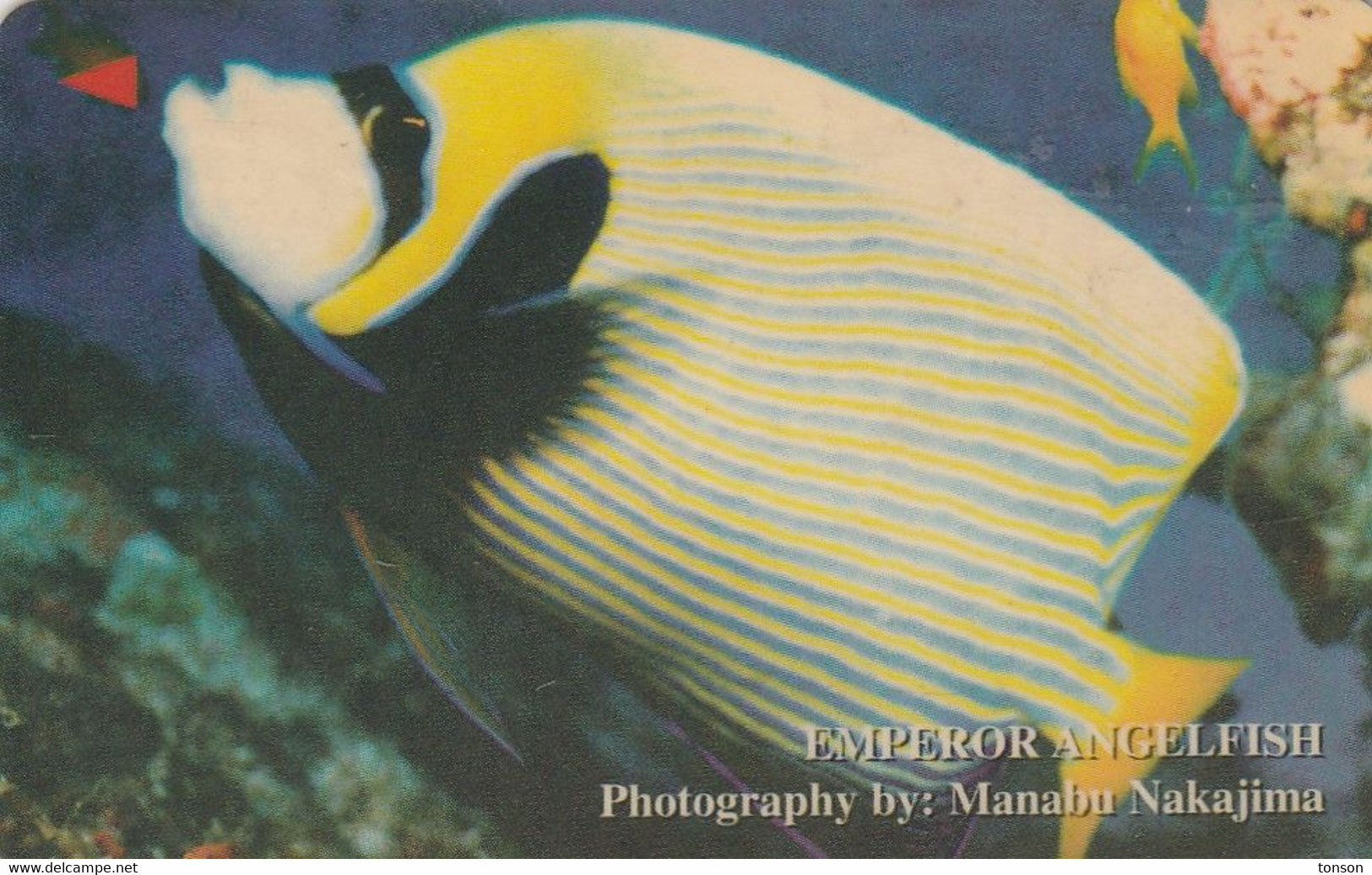 Vietnam, 3MVSB, Emperor Angelfish, 2 Scans - Vietnam