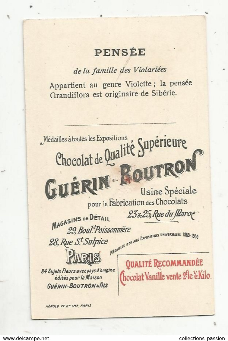Chromo GUERIN-BOUTRON, PENSEE ,fleurs , Sibérie , 2 Scans - Guérin-Boutron
