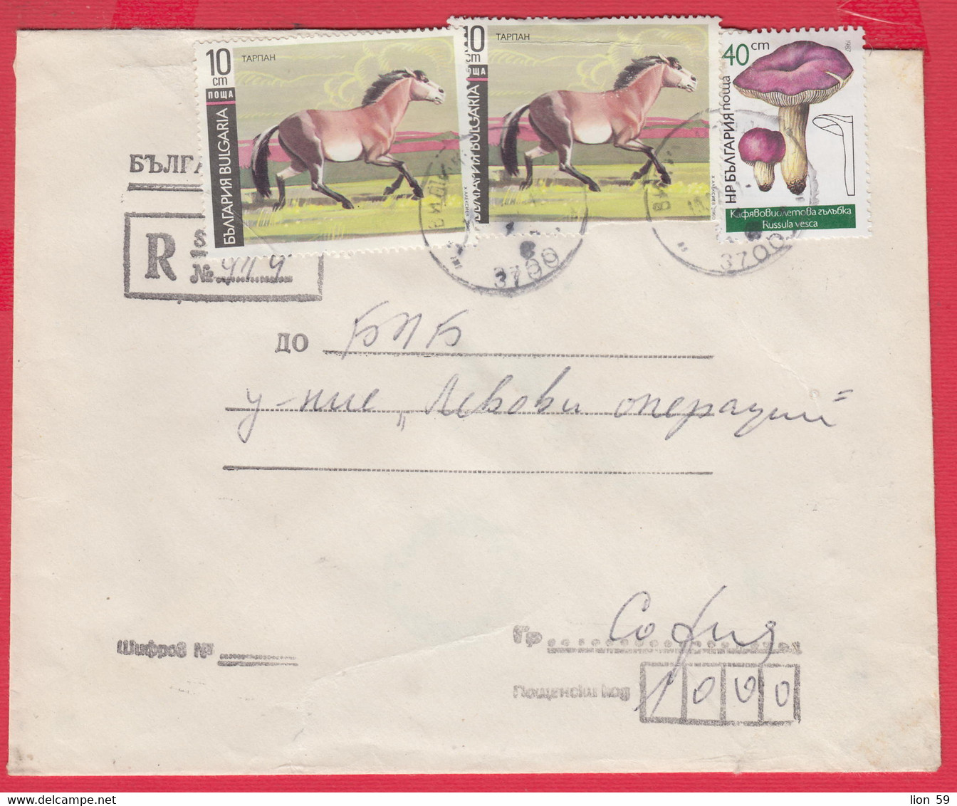 111K12 / Cover Bulgarian National Bank Form IV-40b , 1991 Horse Tarpan , Fungus Russula Vesca Mushroom , Bulgaria - Brieven En Documenten