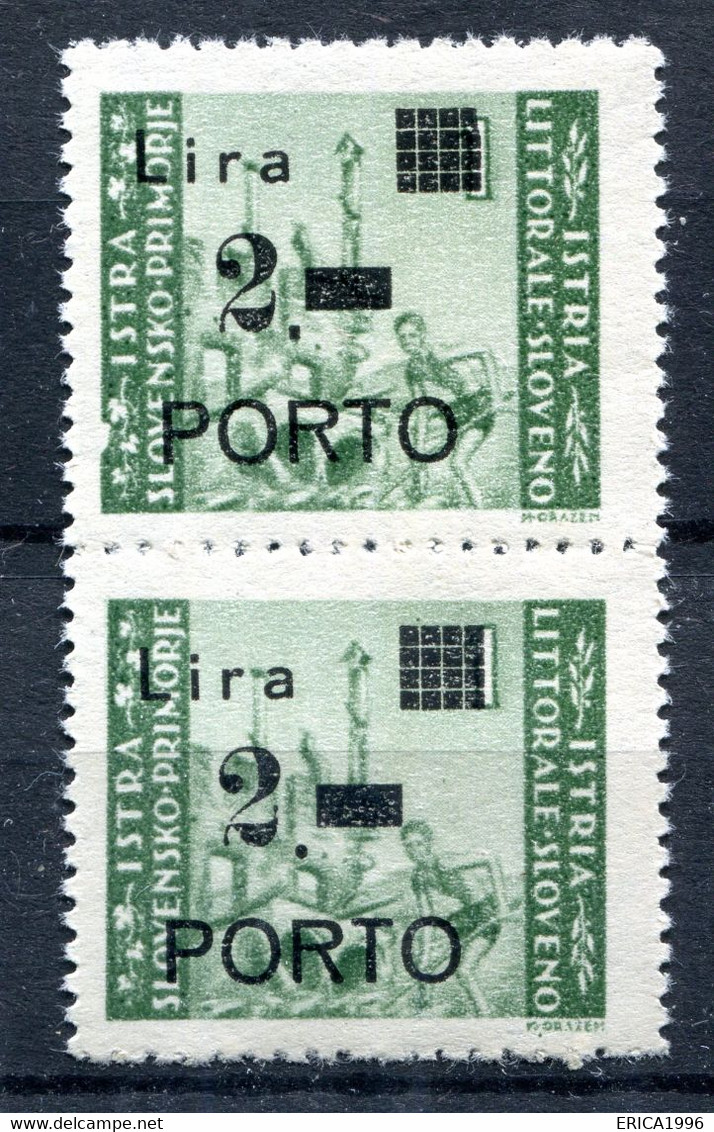 Z2252 ITALIA OCCUPAZIONI ISTRIA Litorale Sloveno 1946 Segnatasse 2 L., MNH**, Sassone N. 9a + 9, Coppia Varietà + Normal - Occ. Yougoslave: Littoral Slovène