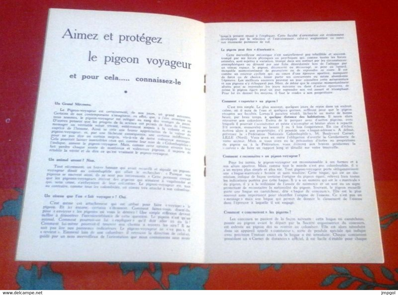 Petit Livret Le Pigeon Voyageur "Connaitre Le Pigeon Voyageur C'est L'aimer" Abbé Bailot - Animaux