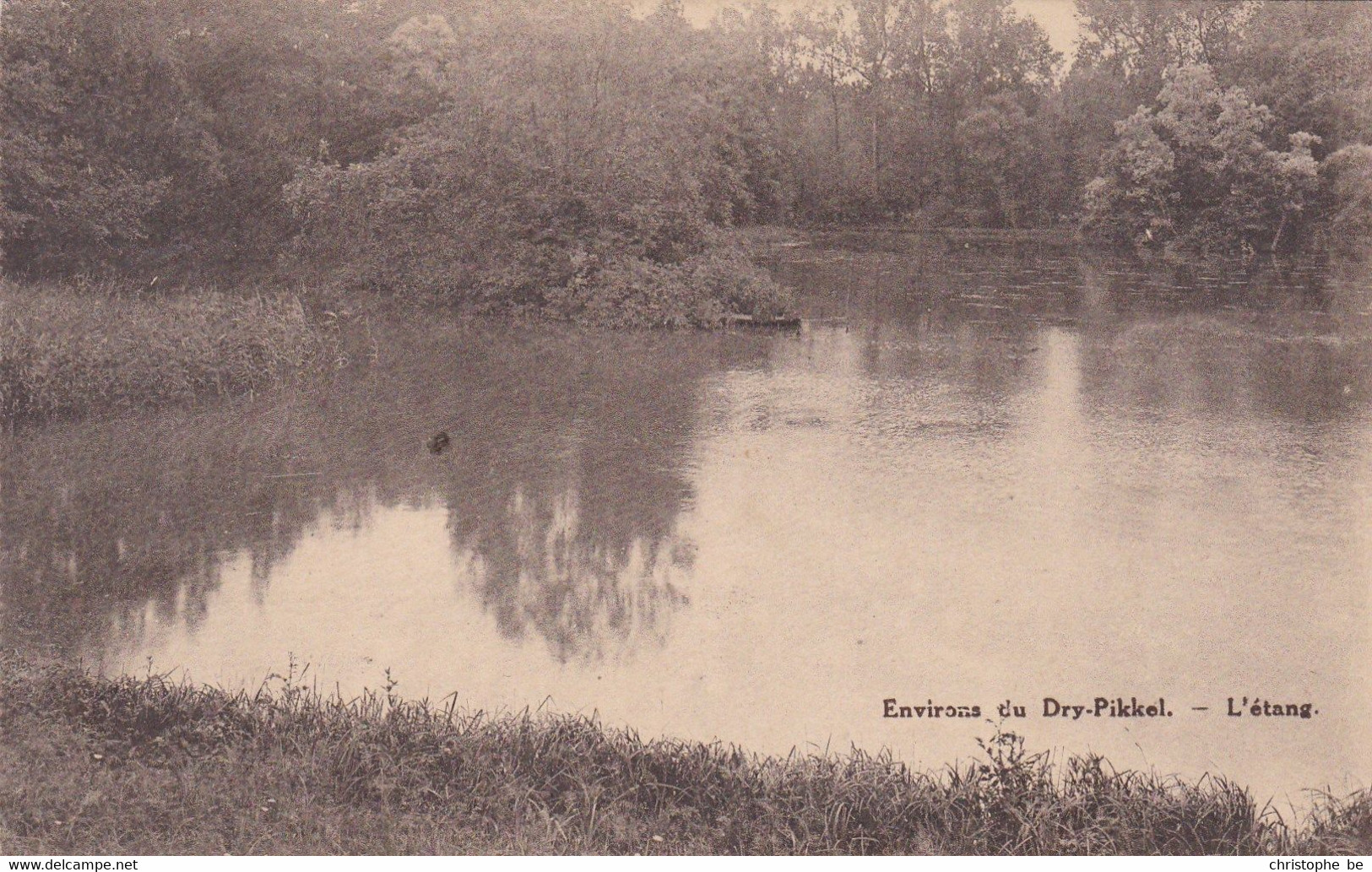 Strombeek Bever, Environs Du Dry Pikkel, L'étang (pk75554) - Biévène - Bever